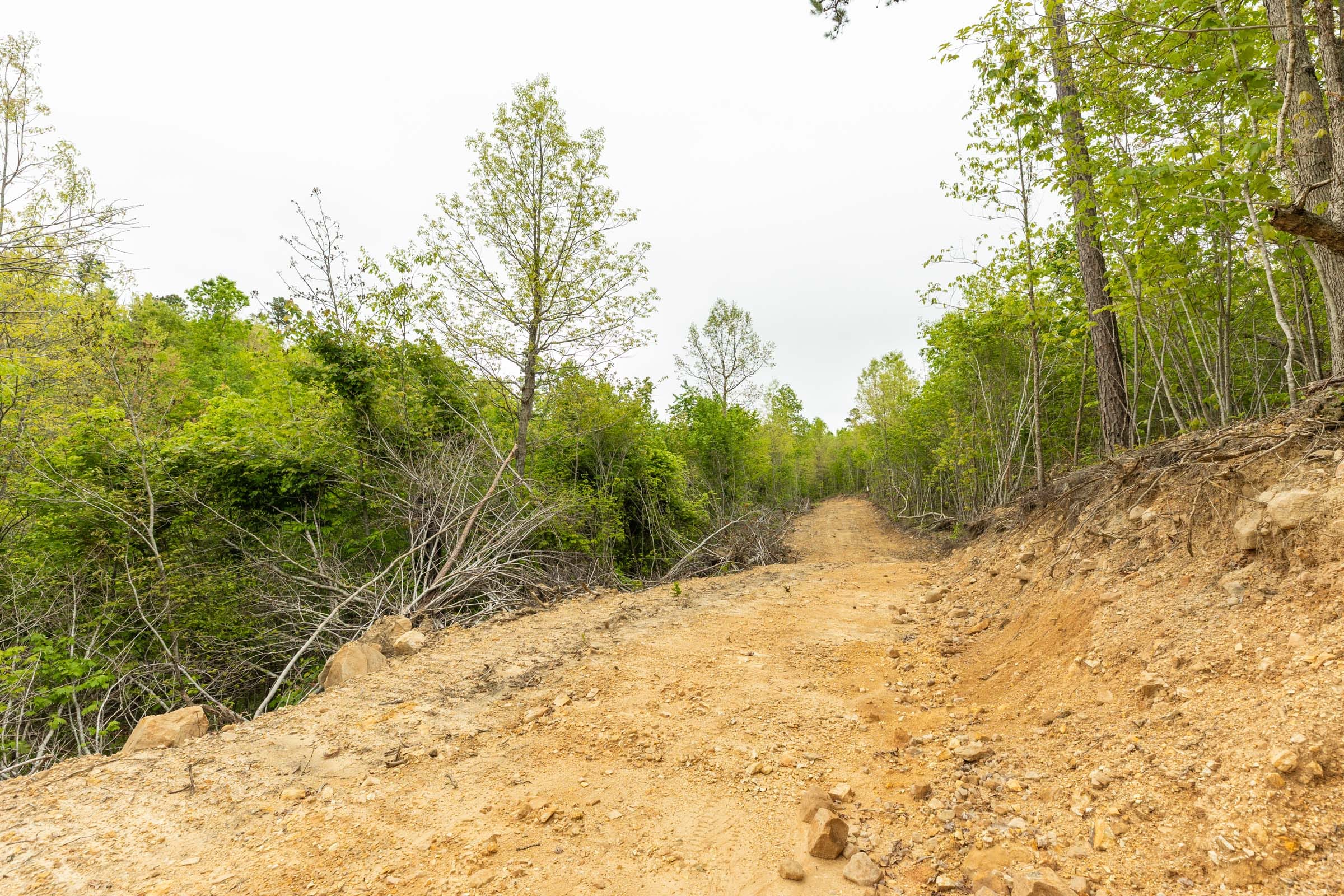 Double S Ranch Tract 9 photo 6