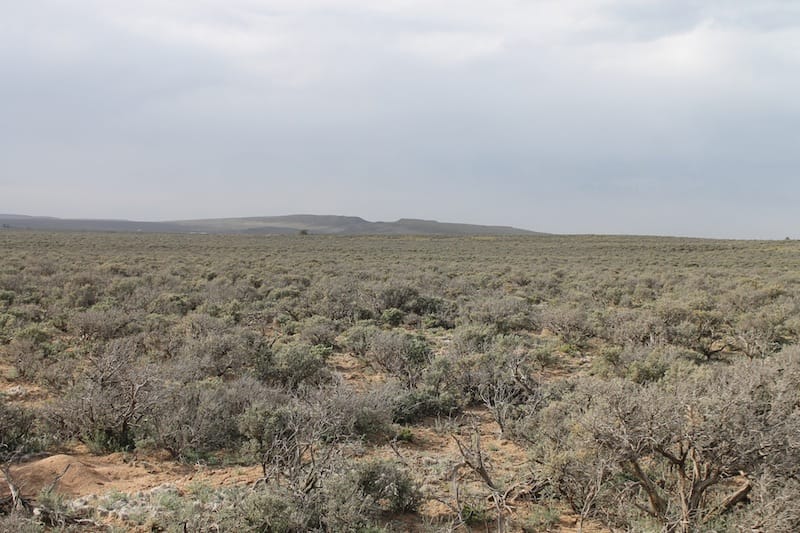 San Luis Valley Ranches Tract 7 photo 2