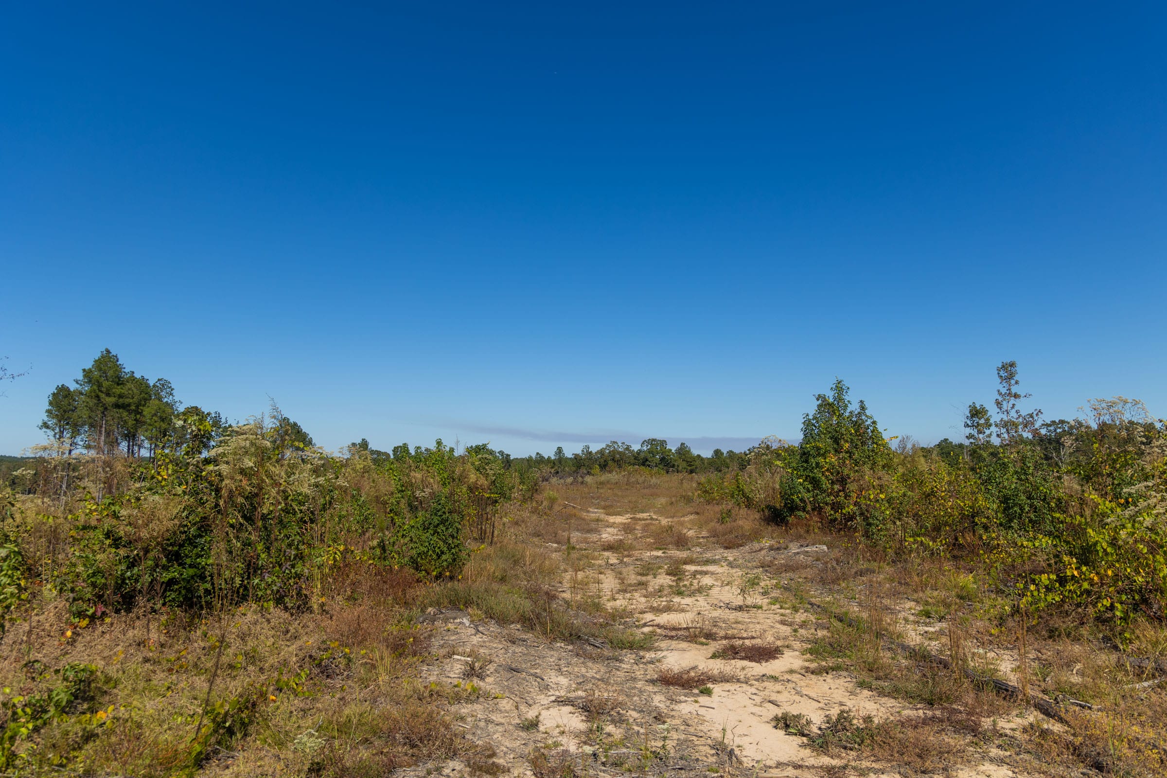 Meyer’s Ridge Tract 34 photo 9