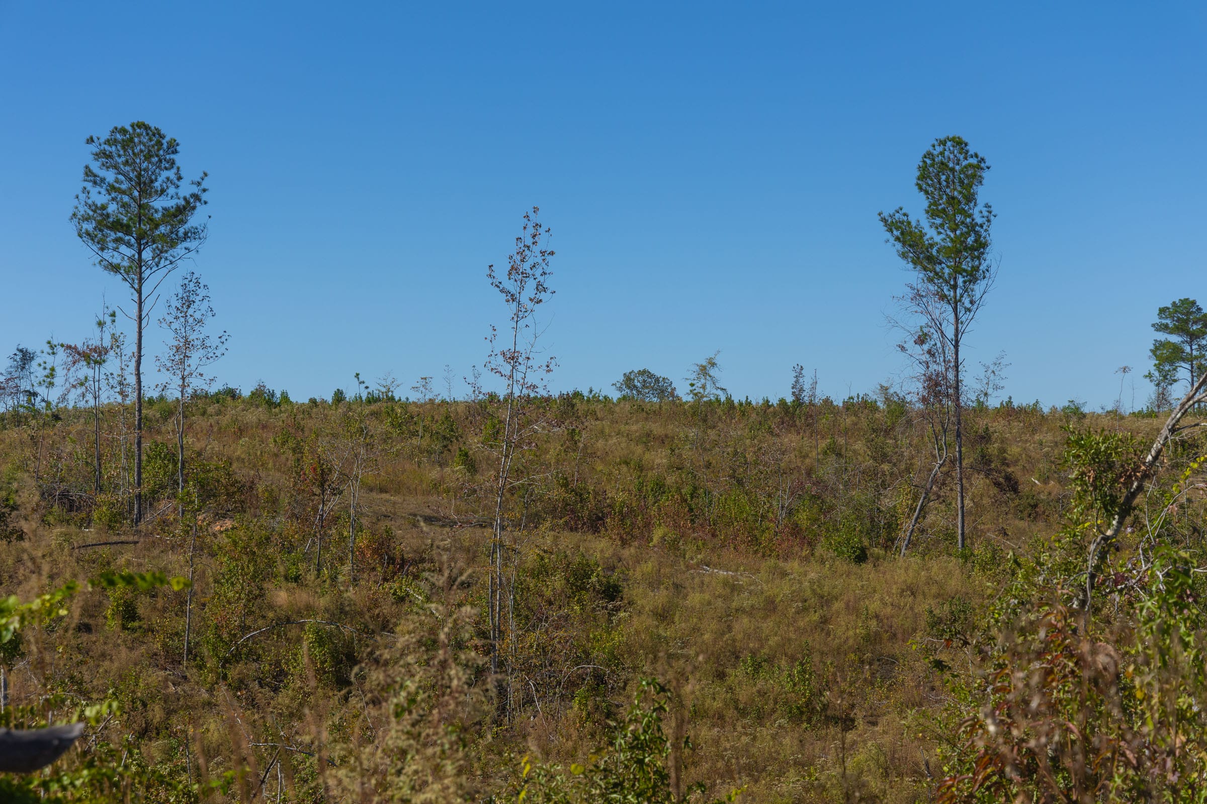 Meyer’s Ridge Tract 34 photo 12