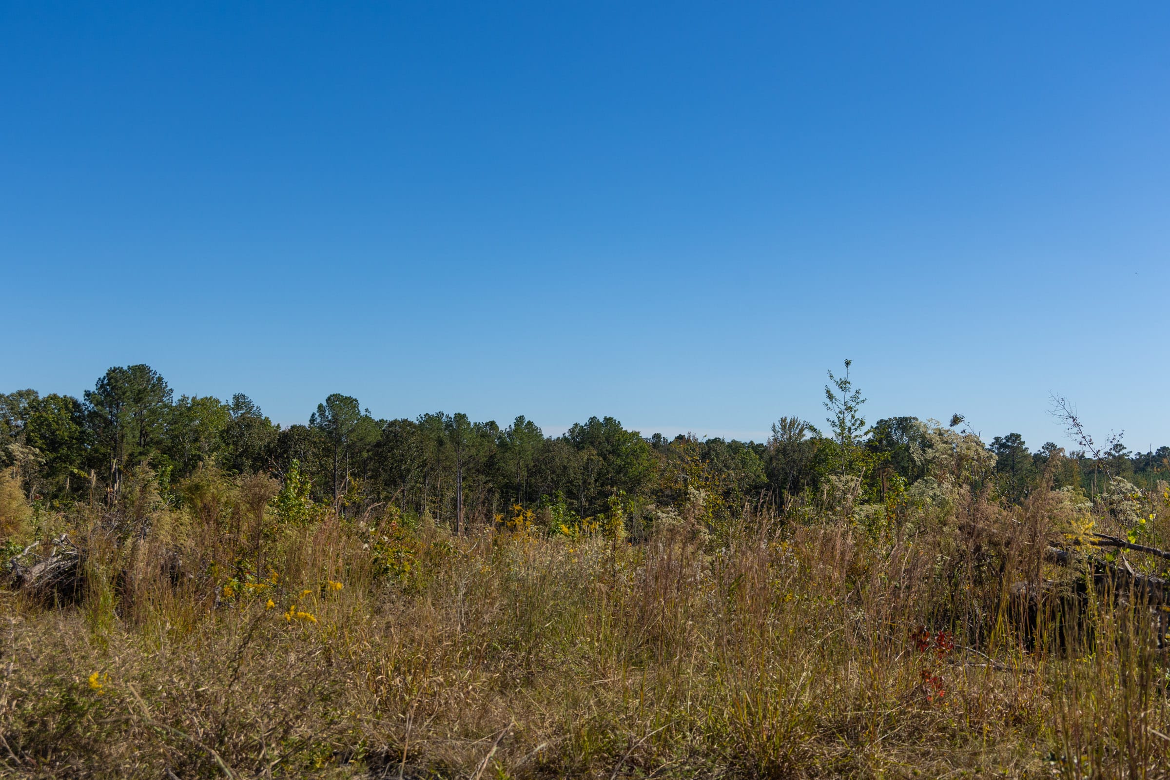 Meyer’s Ridge Tract 34 photo 11