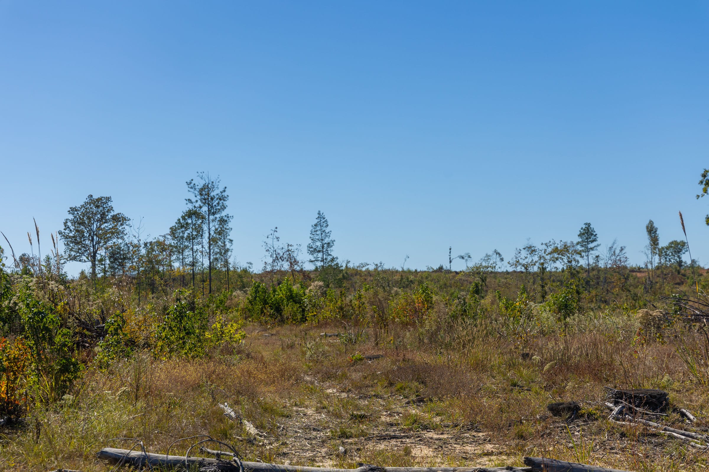 Meyer’s Ridge Tract 34 photo 10
