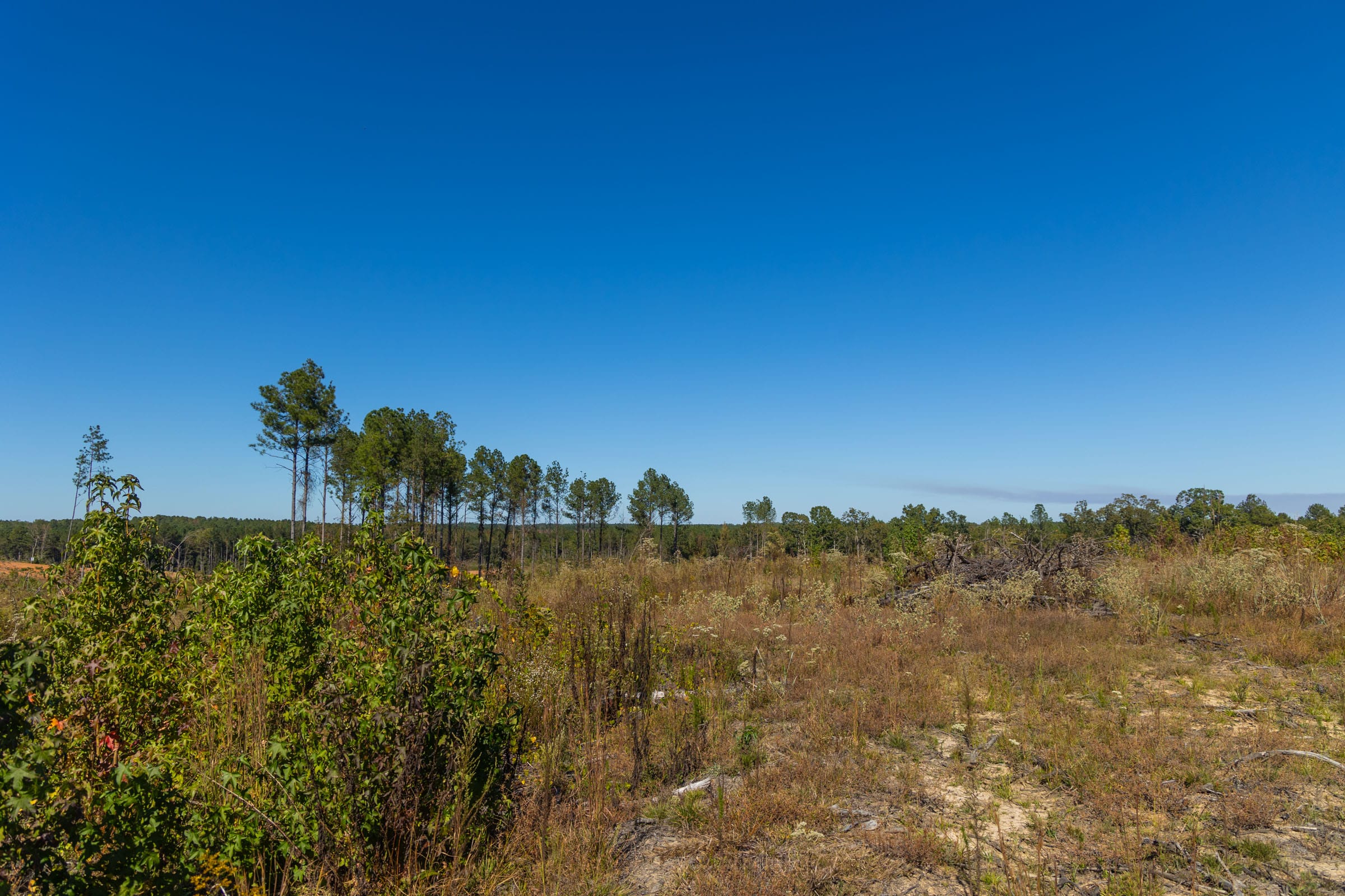 Meyer’s Ridge Tract 34 photo 8