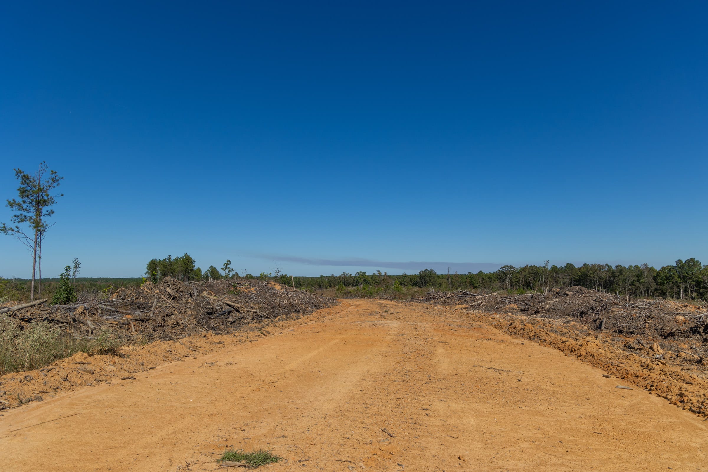 Meyer’s Ridge Tract 34 photo 3