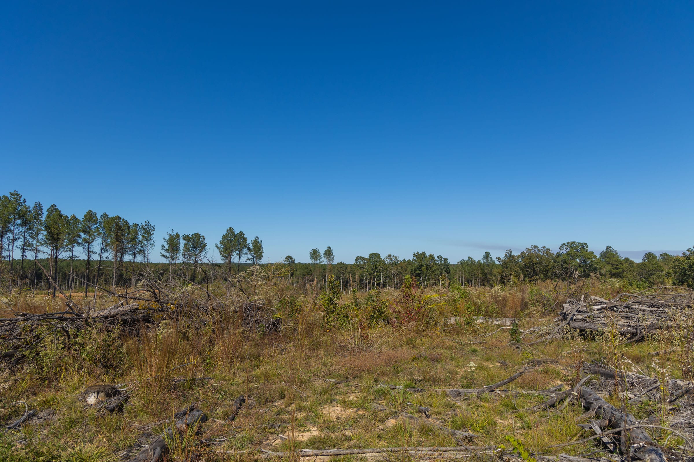 Meyer’s Ridge Tract 34 photo 4