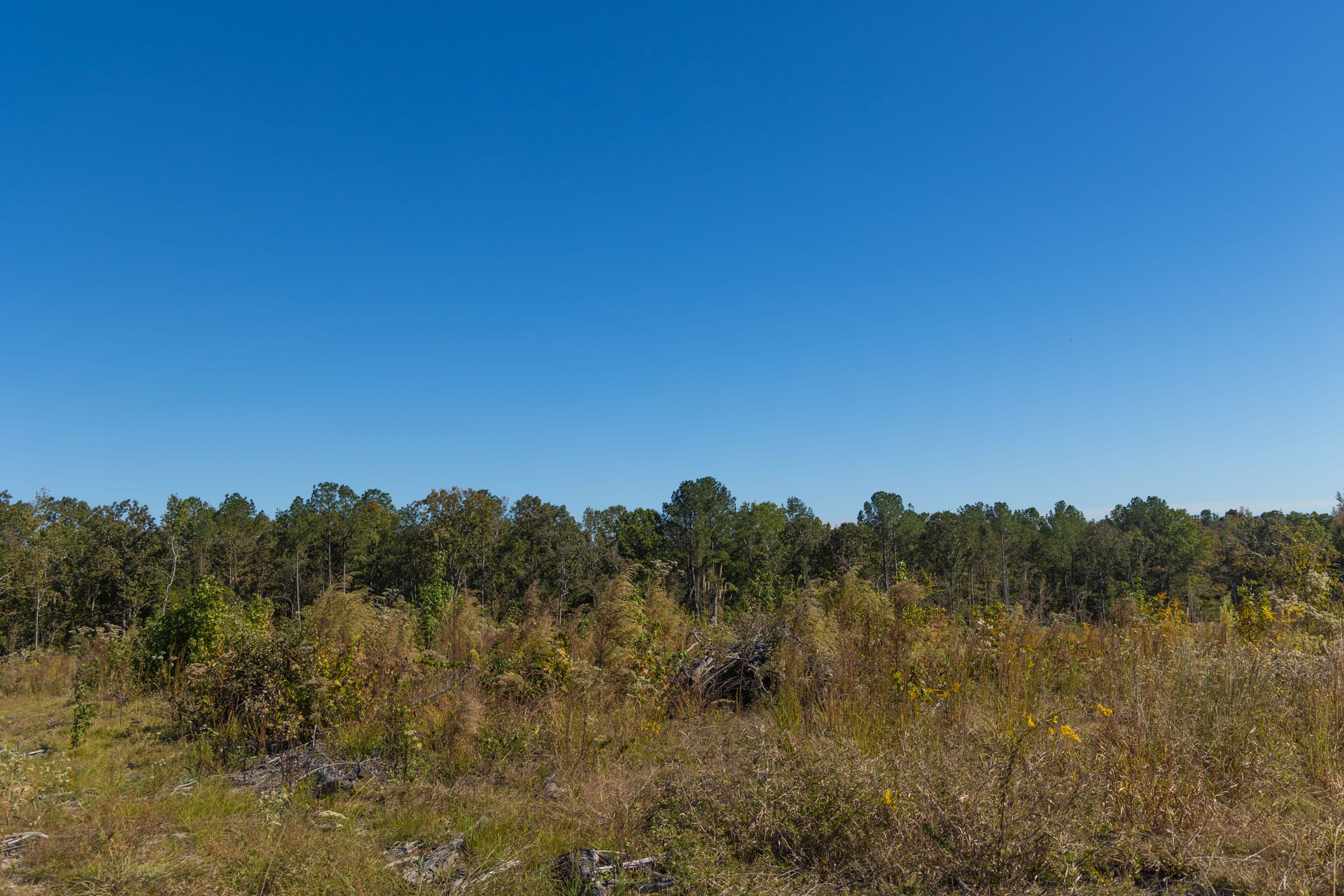 Meyer’s Ridge Tract 34 photo 6