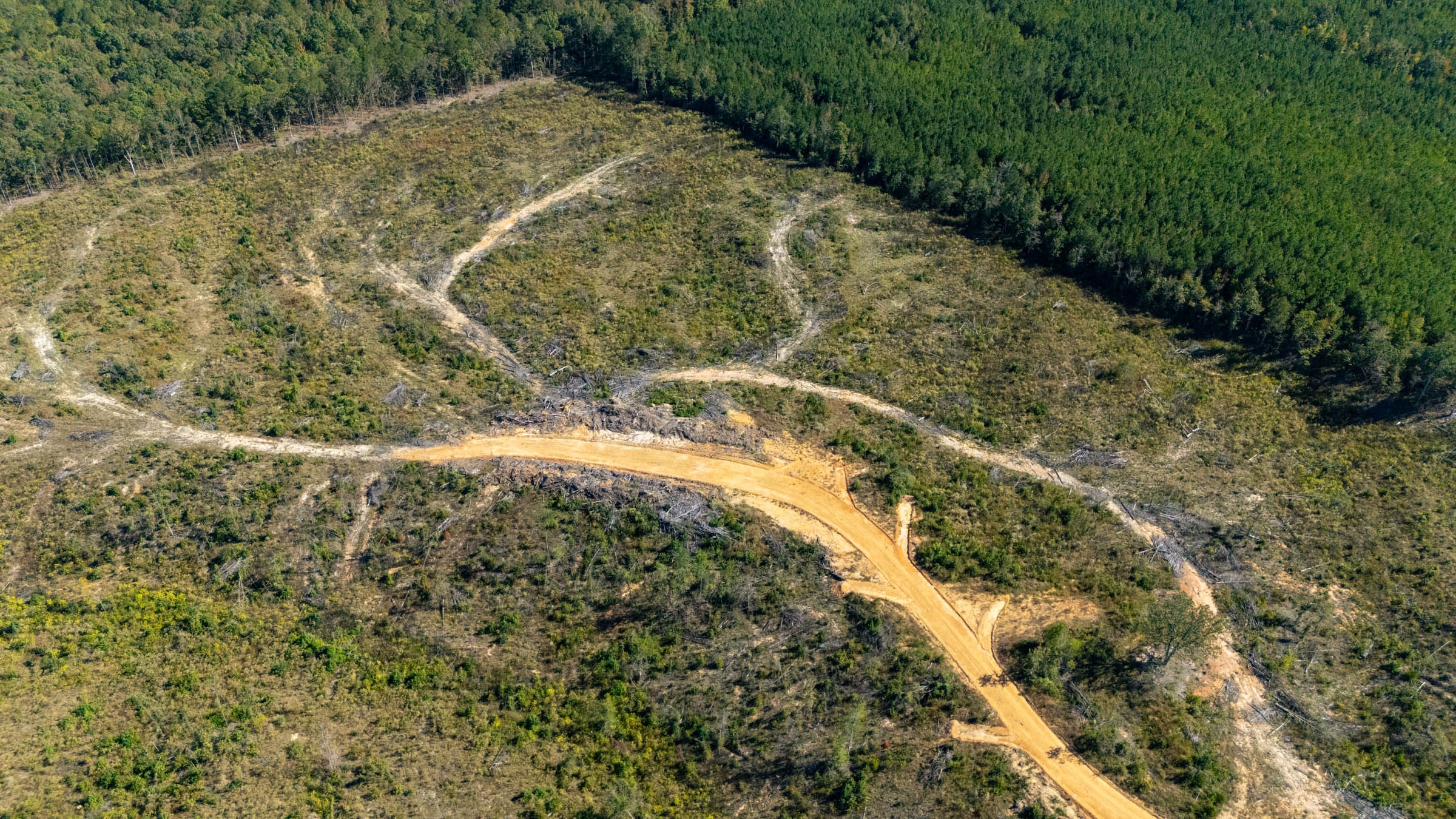 Meyer’s Ridge Tract 37 photo 8