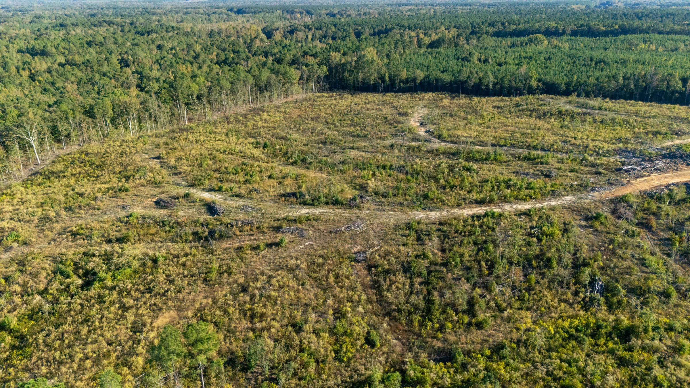 Meyer’s Ridge Tract 35 photo 7