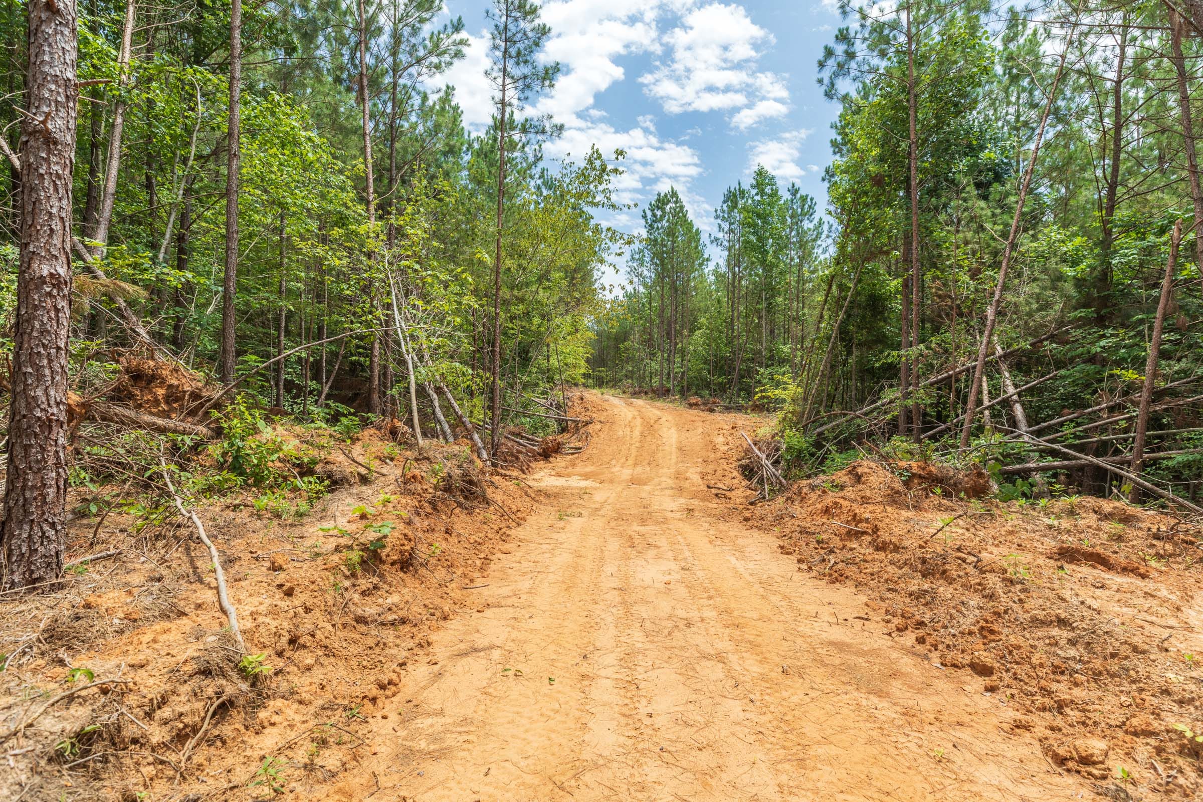 Whiskey Ridge Tract 3 photo 3
