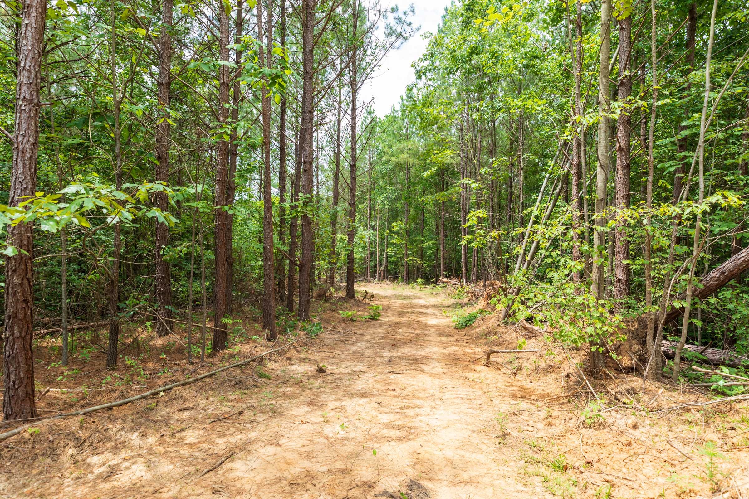 Whiskey Ridge Tract 3 photo 5