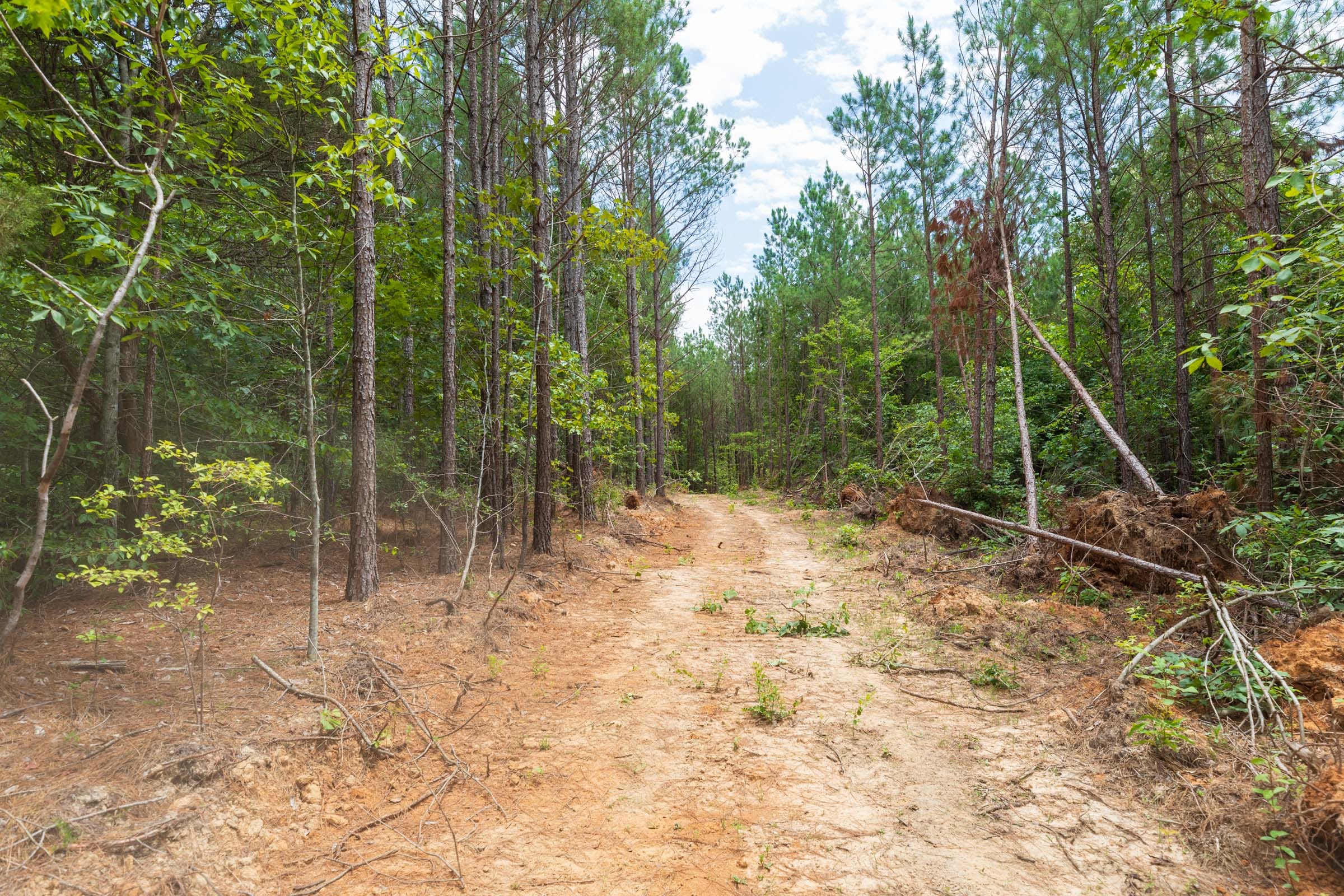 Whiskey Ridge Tract 3 photo 11