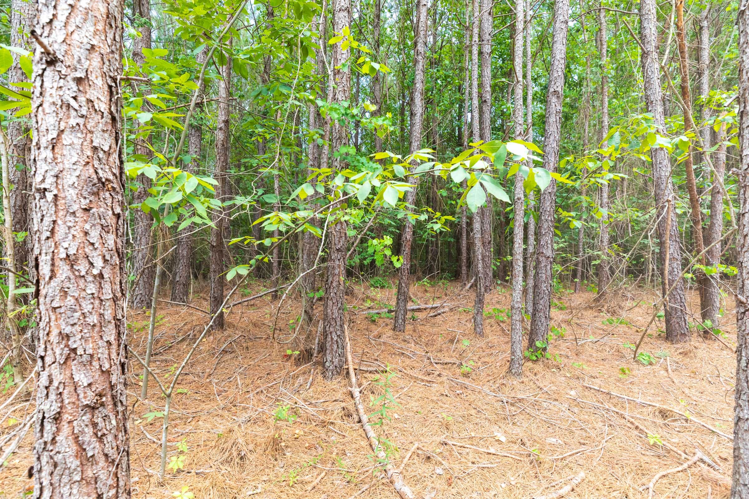 Whiskey Ridge Tract 3 photo 1