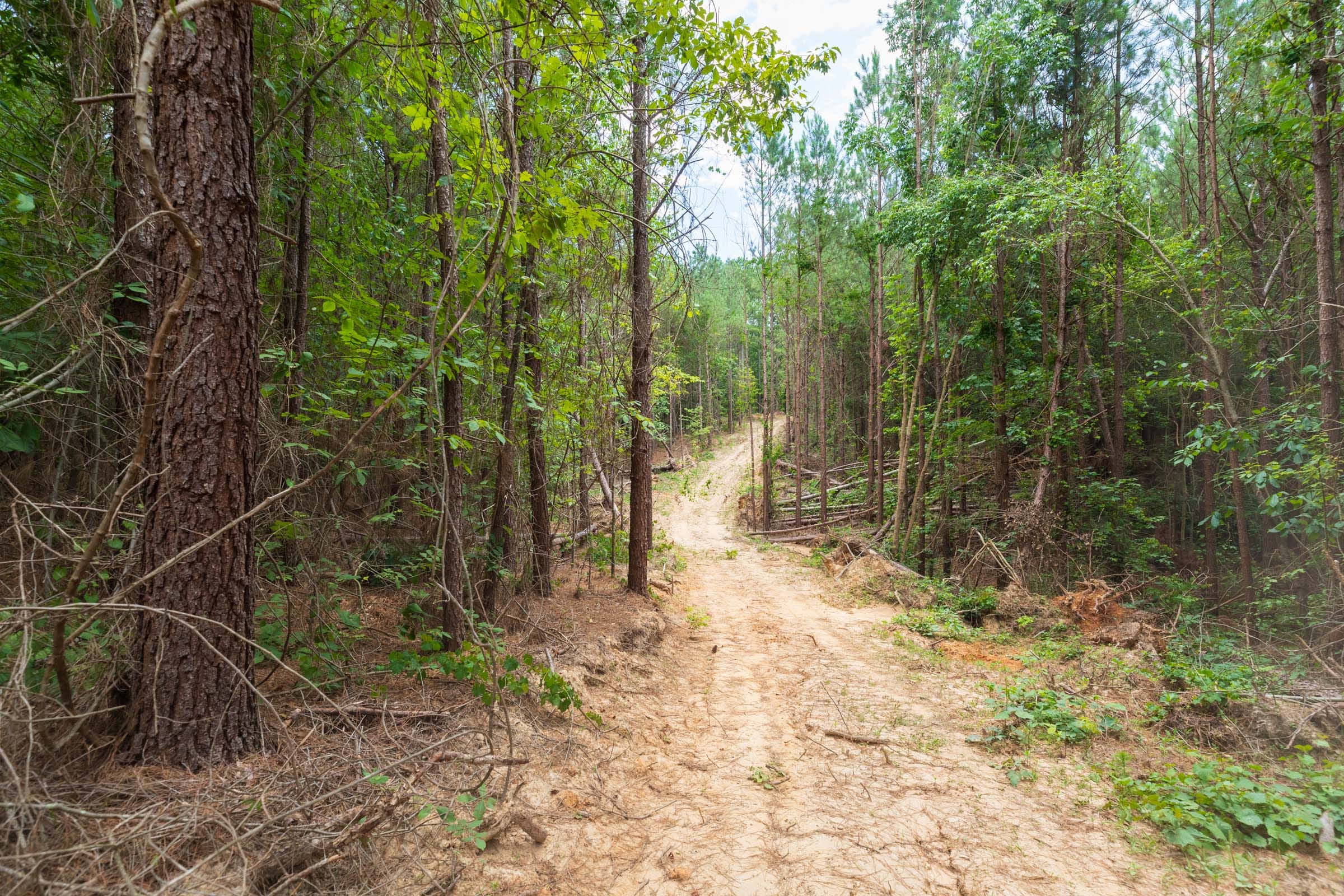 Whiskey Ridge Tract 3 photo 9