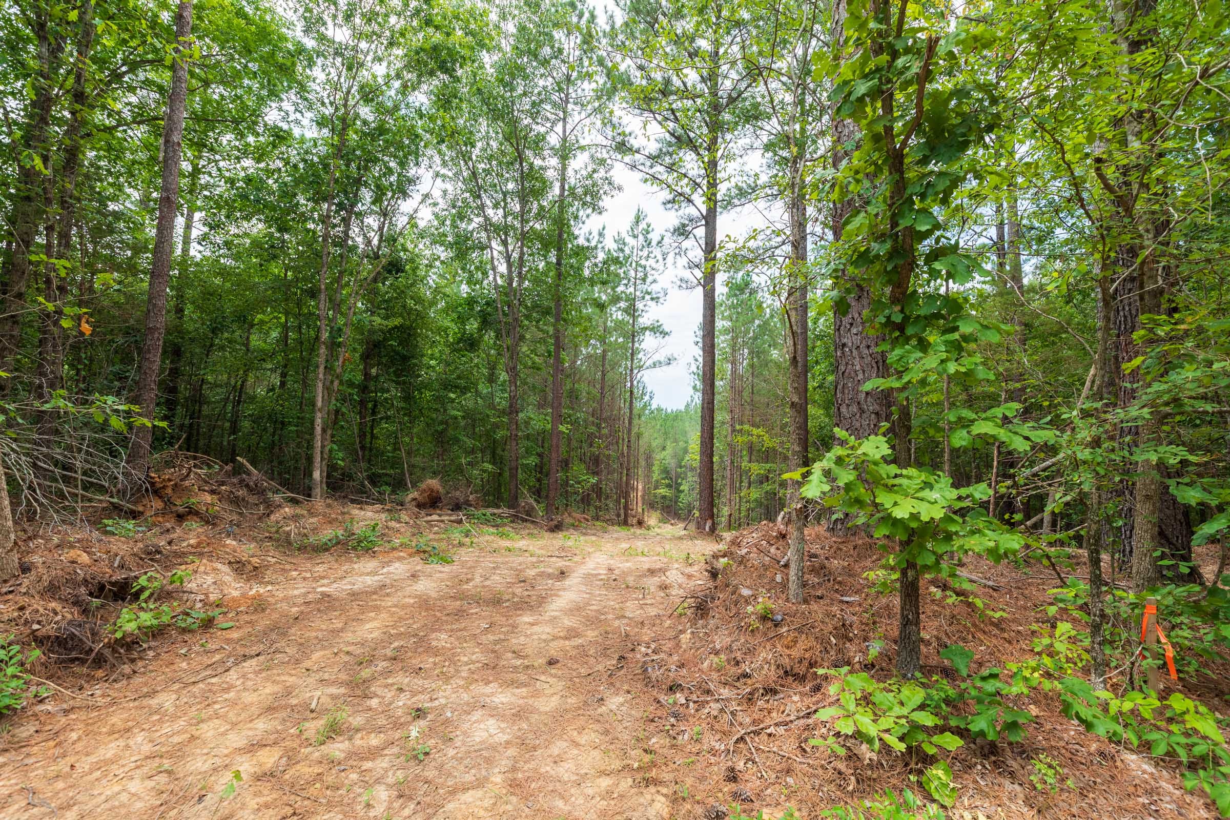Whiskey Ridge Tract 3 photo 13