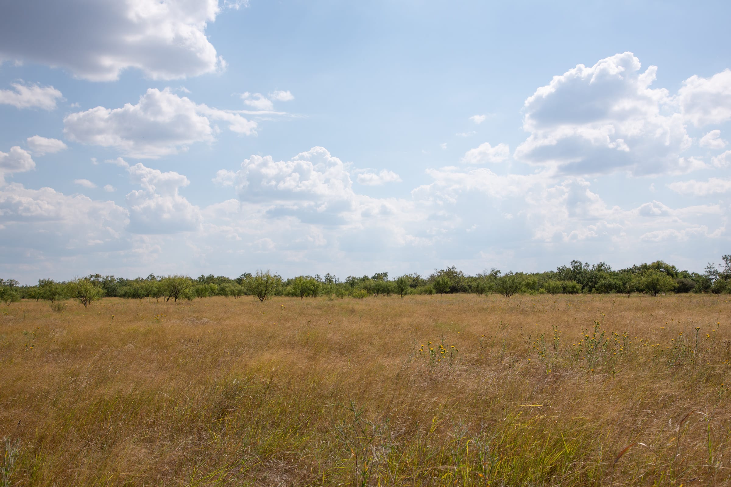 Hunter’s Ranch Tract 22 photo 6