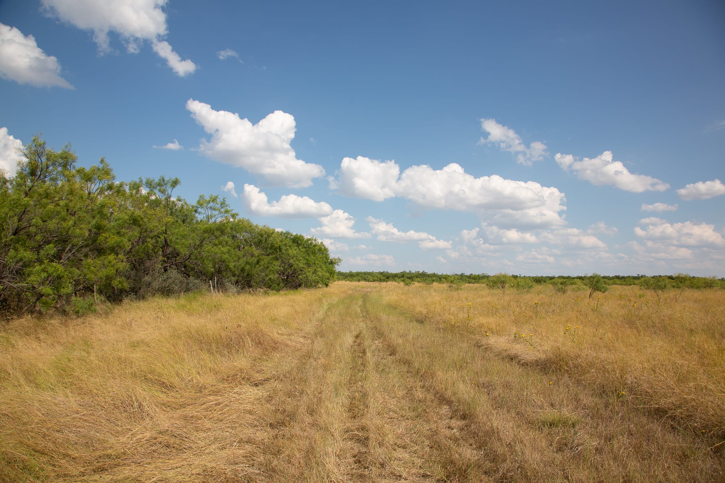 Hunter’s Ranch Tract 22 photo 8
