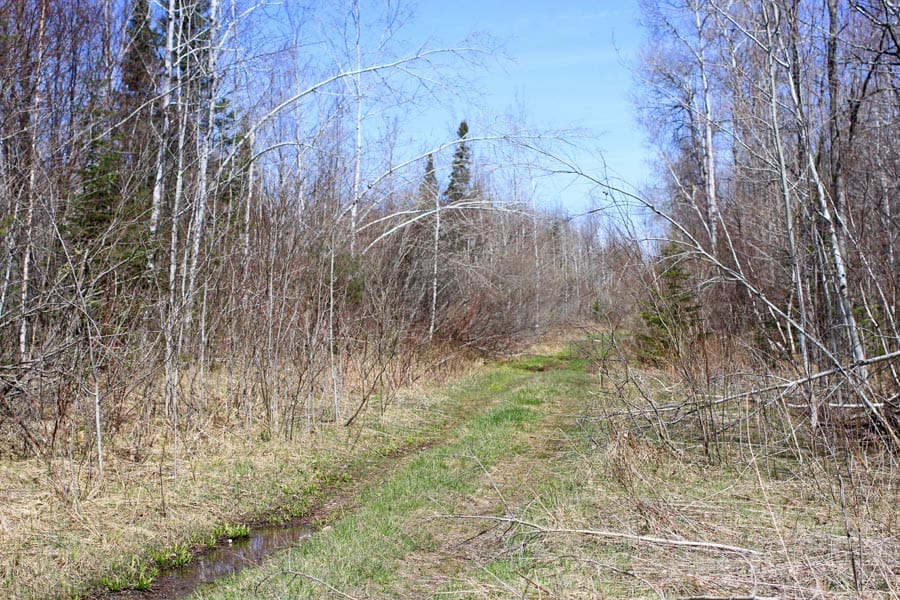 Abby Point Tract 1 photo 1