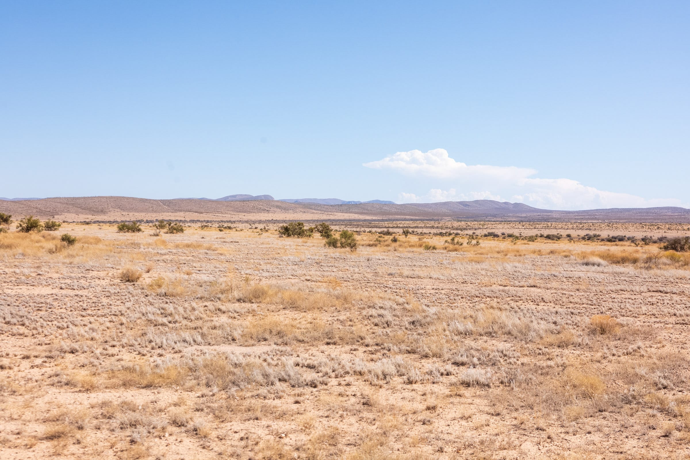 Sunrise Ranches Phase IV photo 19