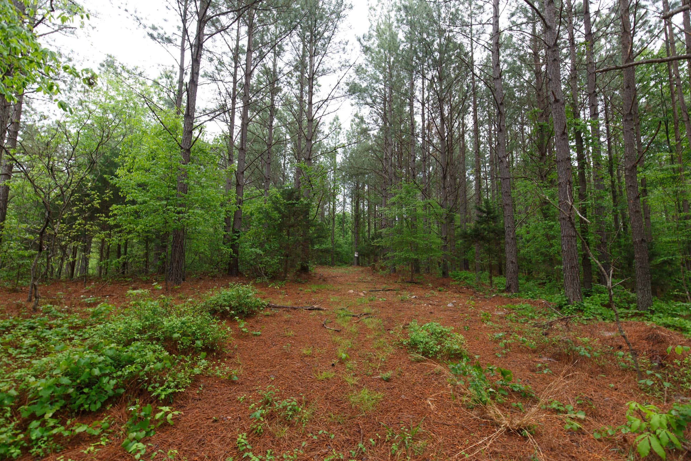 Red Barn Ranch Tract 24 photo 1