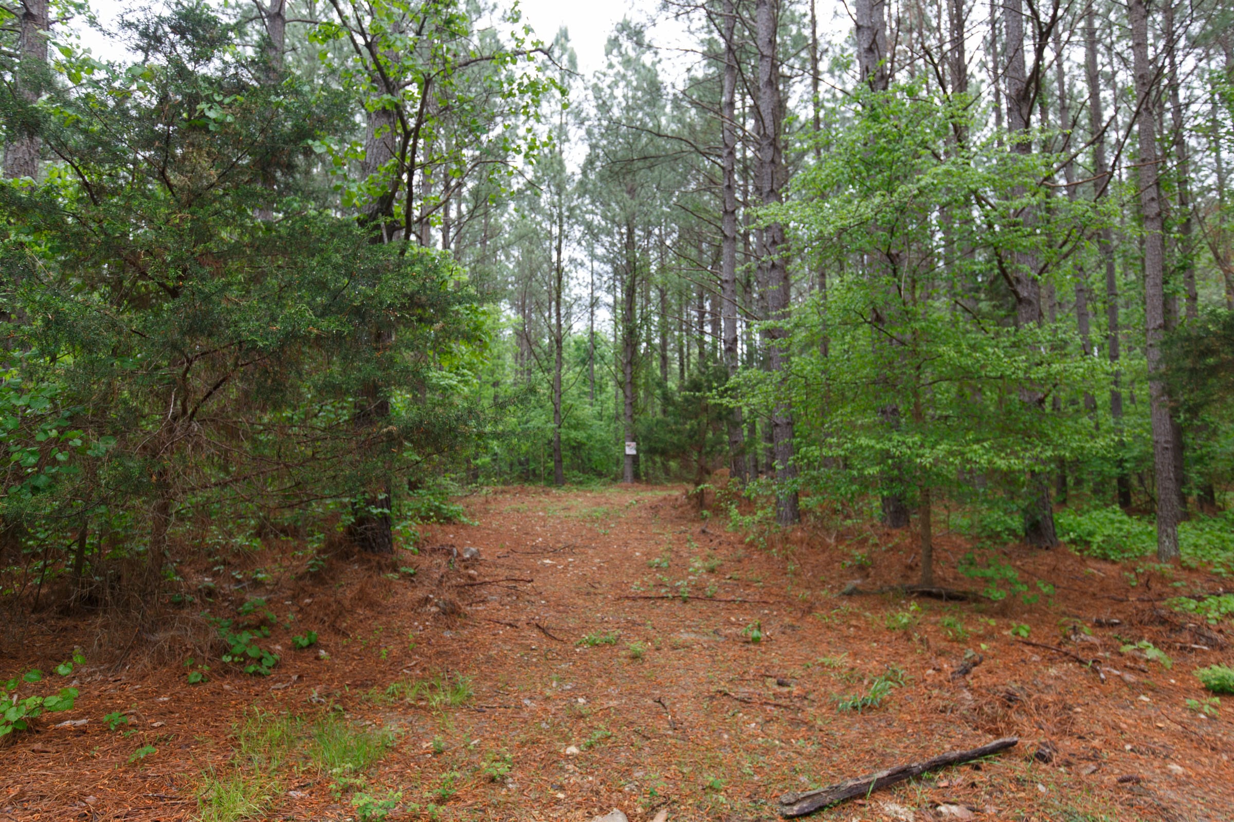 Red Barn Ranch Tract 24 photo 6
