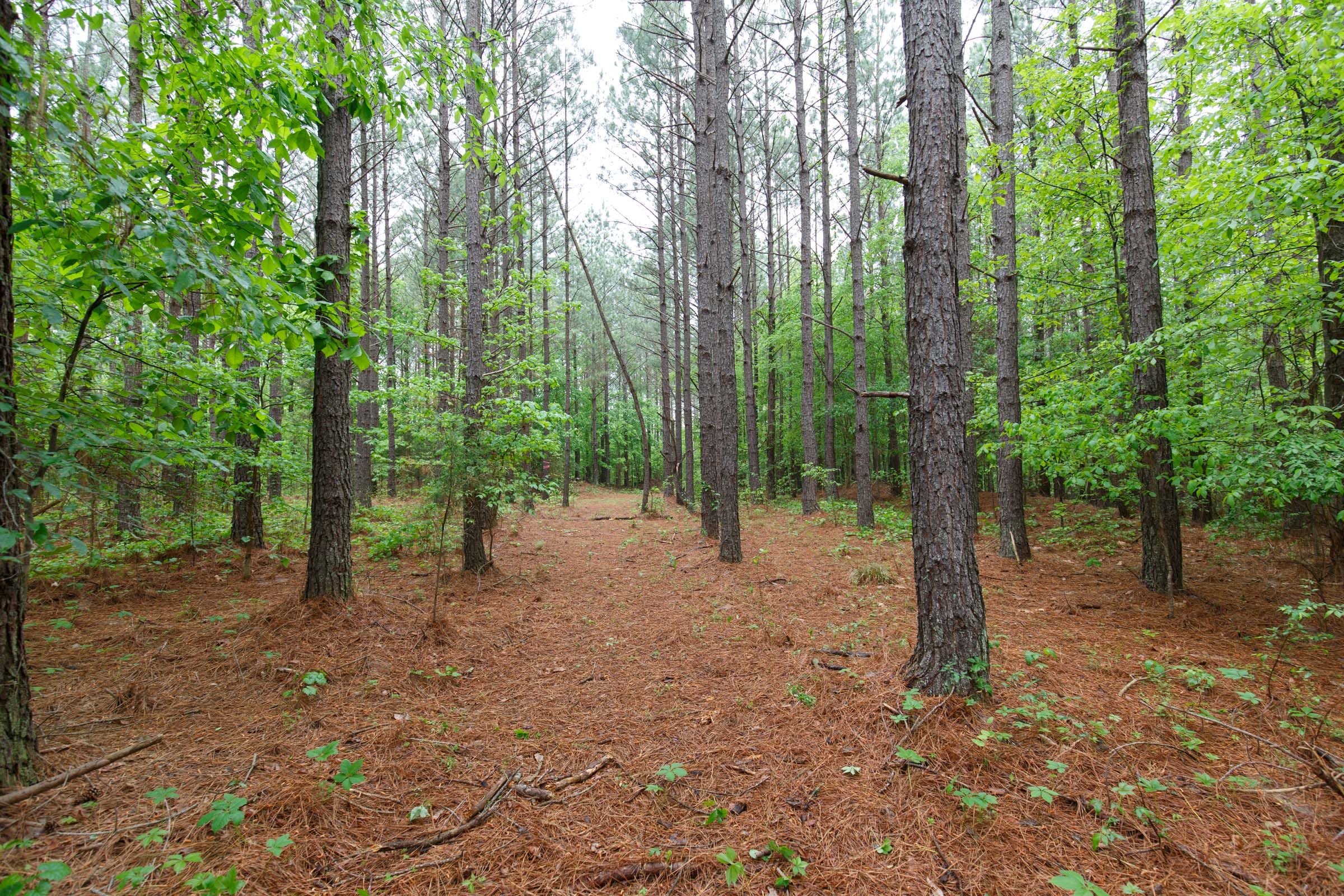 Red Barn Ranch Tract 24 photo 9