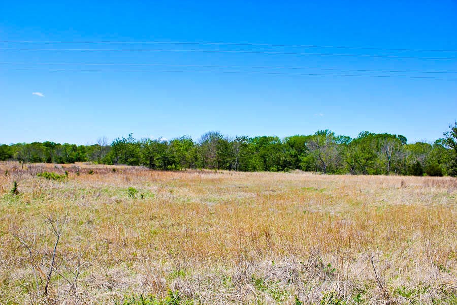Saddlebrook Ranch Tract 1 photo 4