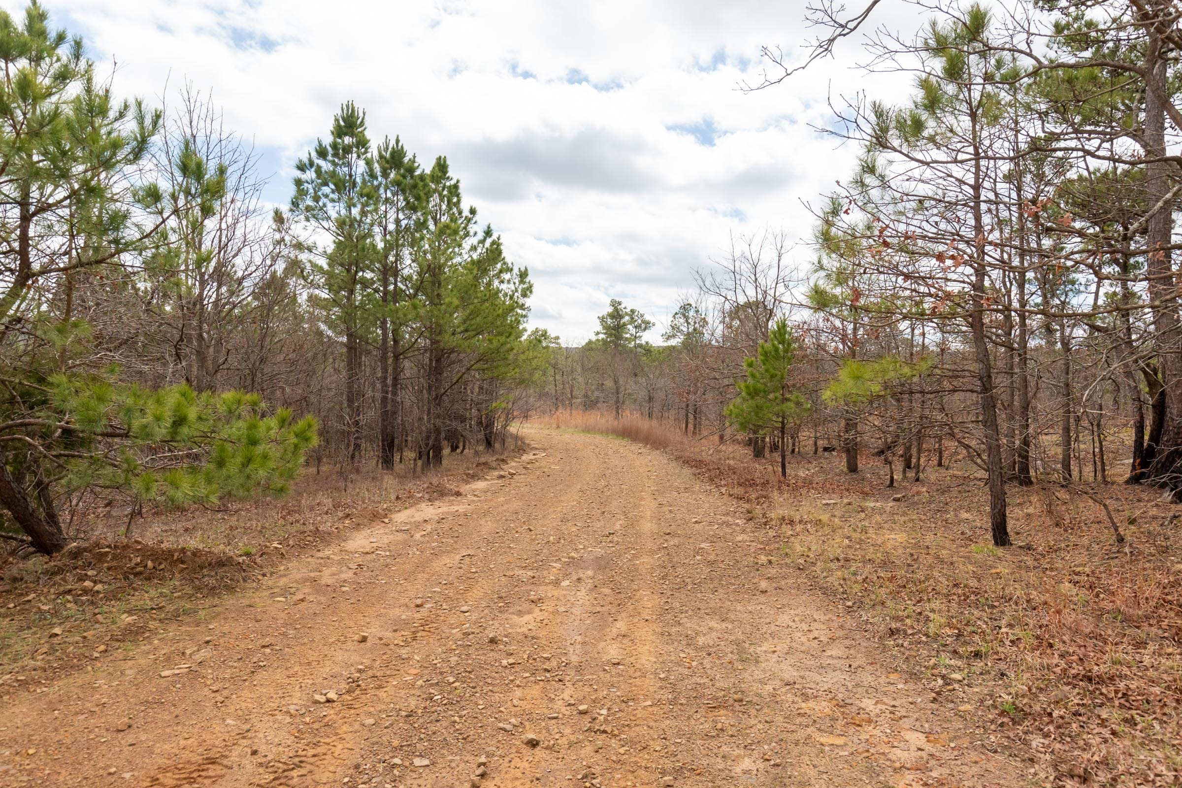 Stone Bridge Phase III Tract 211 photo 1