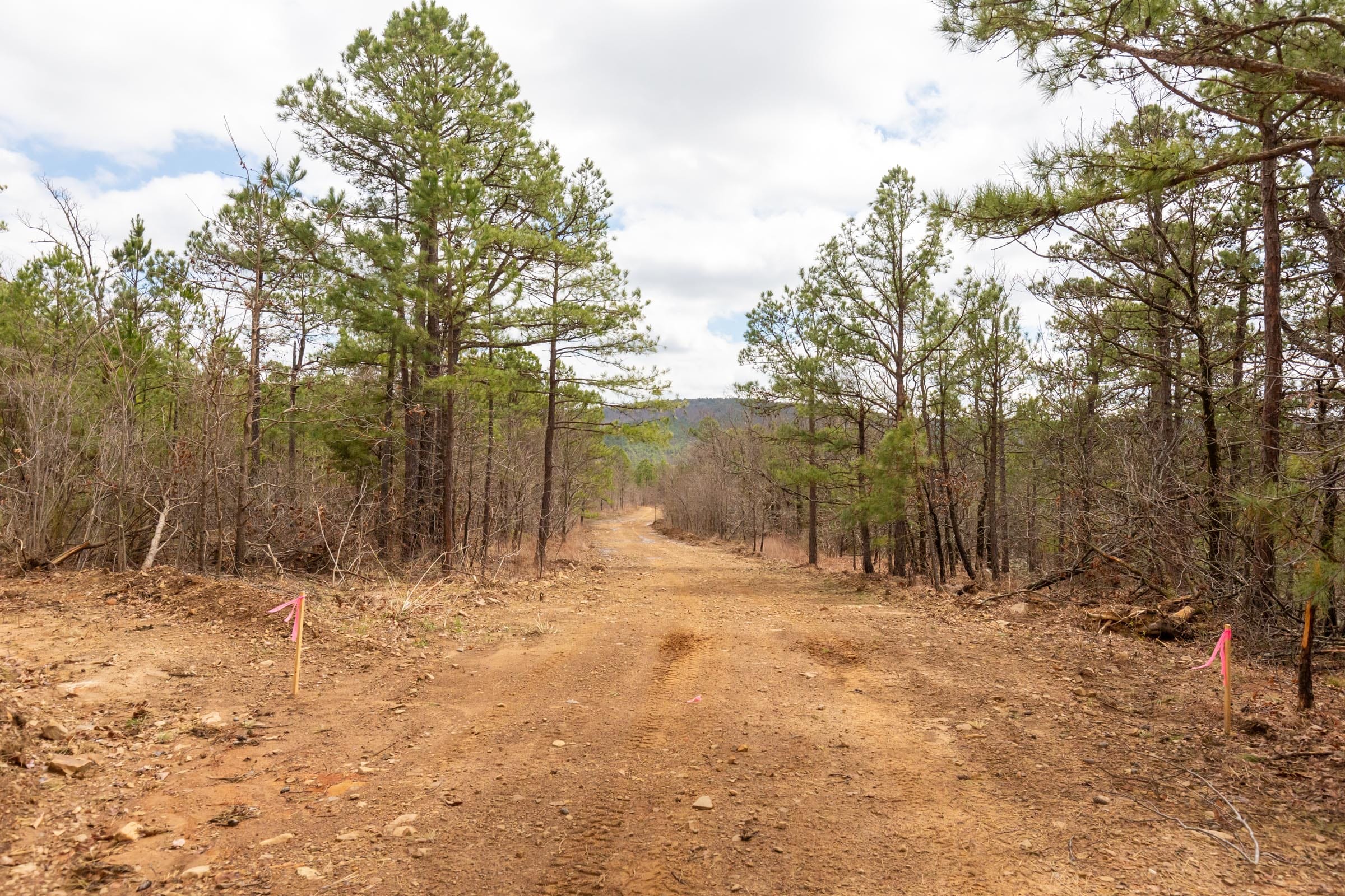 Stone Bridge Phase III Tract 211 photo 9