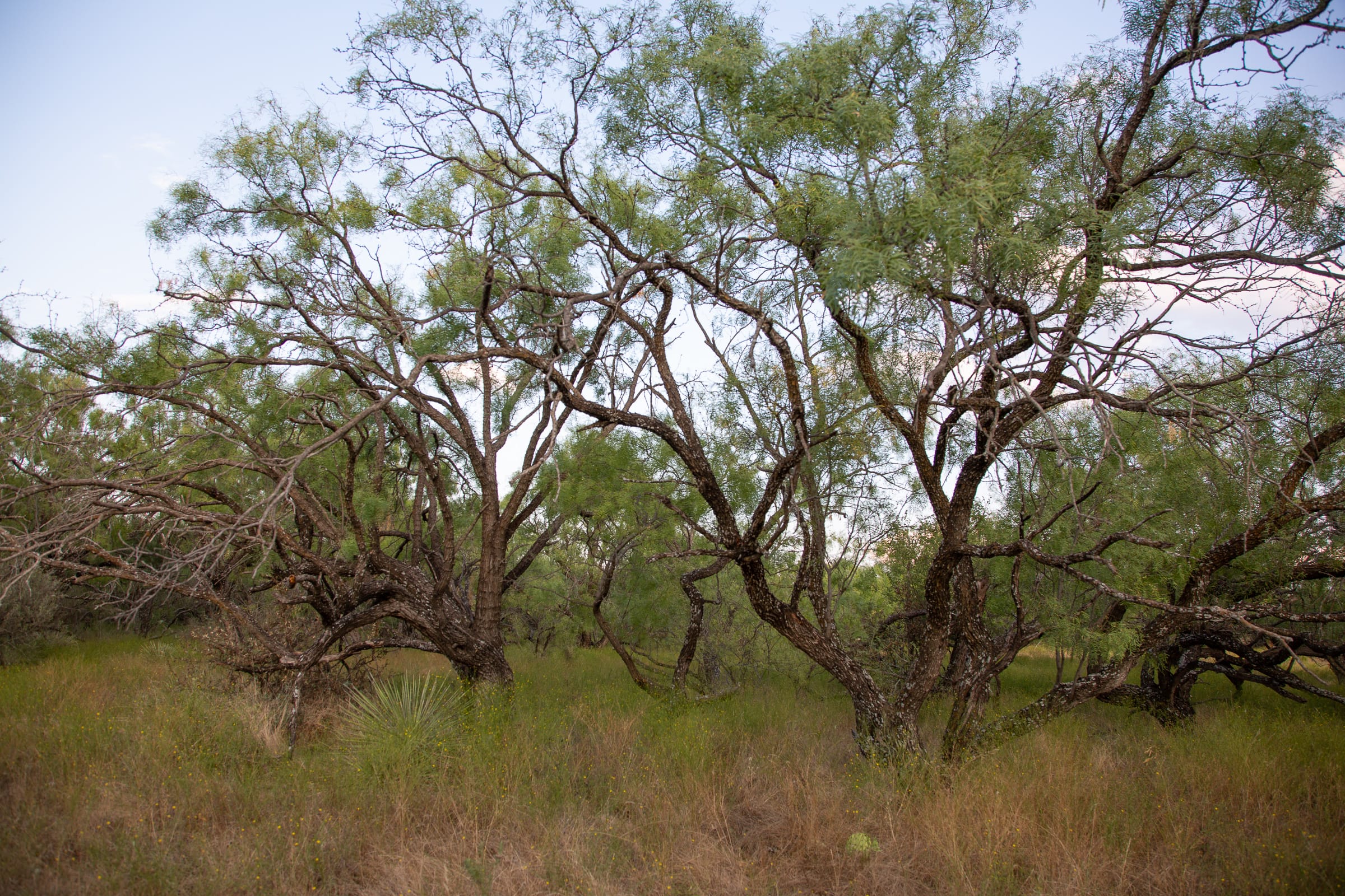 Hunter’s Ranch Tract 4 photo 1
