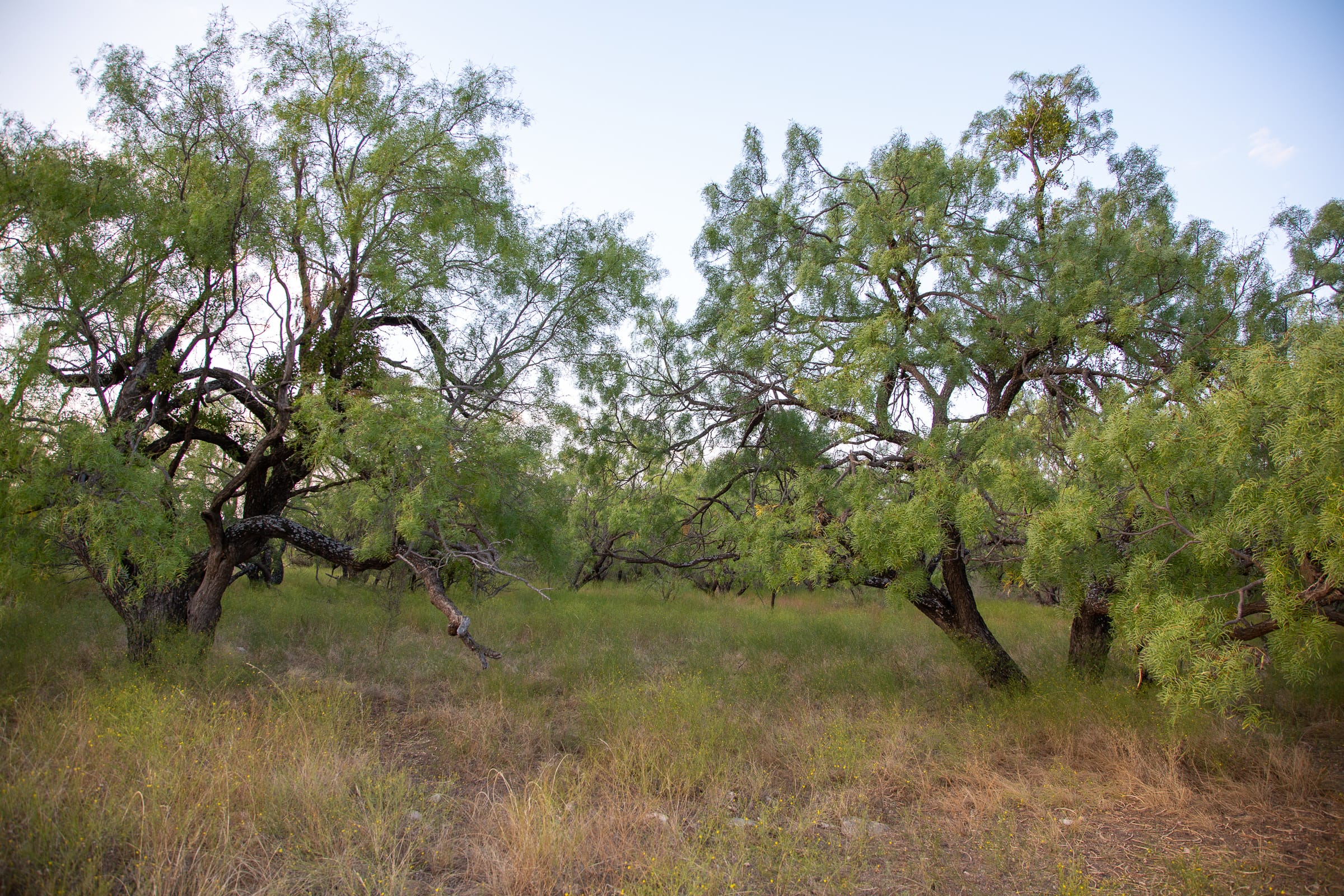 Hunter’s Ranch Tract 4 photo 3
