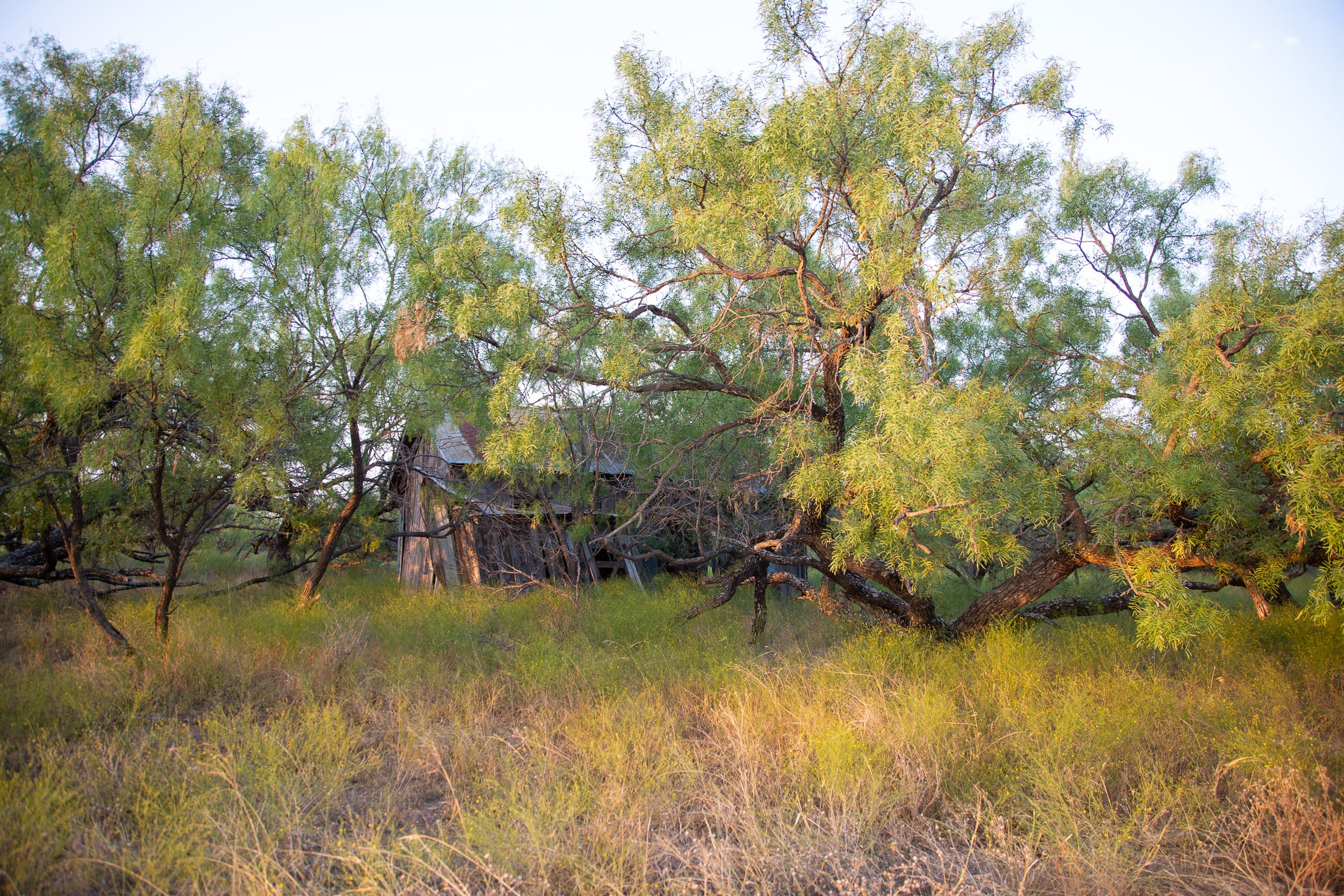 Hunter’s Ranch Tract 4 photo 5
