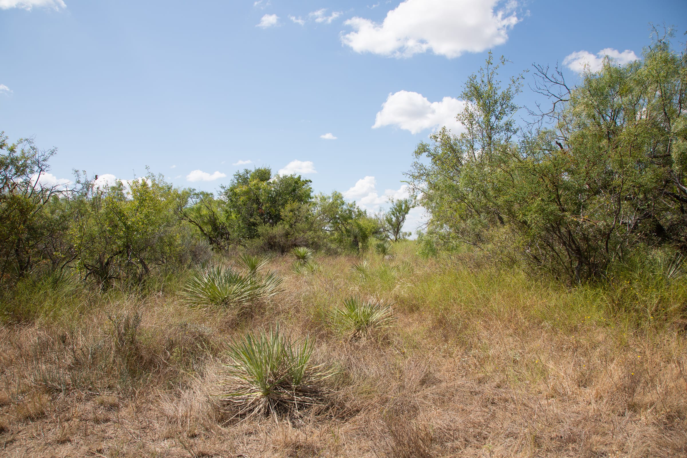 Hunter’s Ranch Tract 4 photo 11