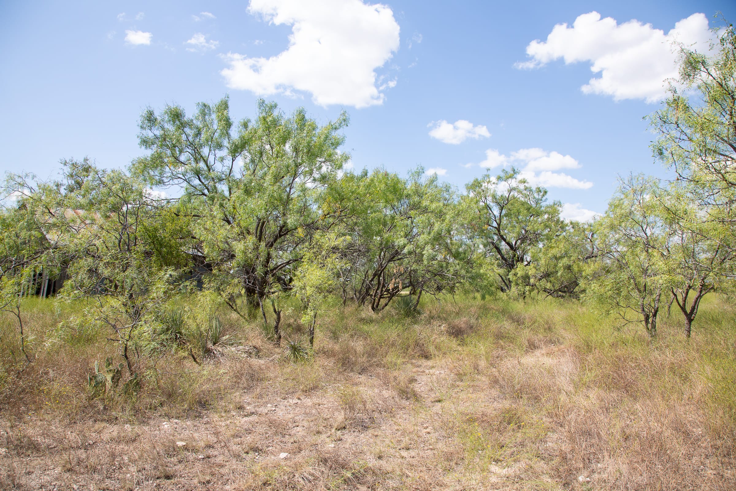 Hunter’s Ranch Tract 4 photo 12