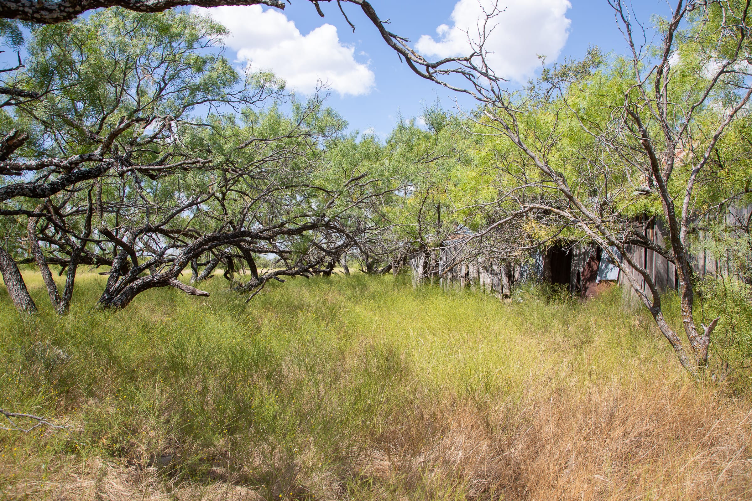 Hunter’s Ranch Tract 4 photo 14