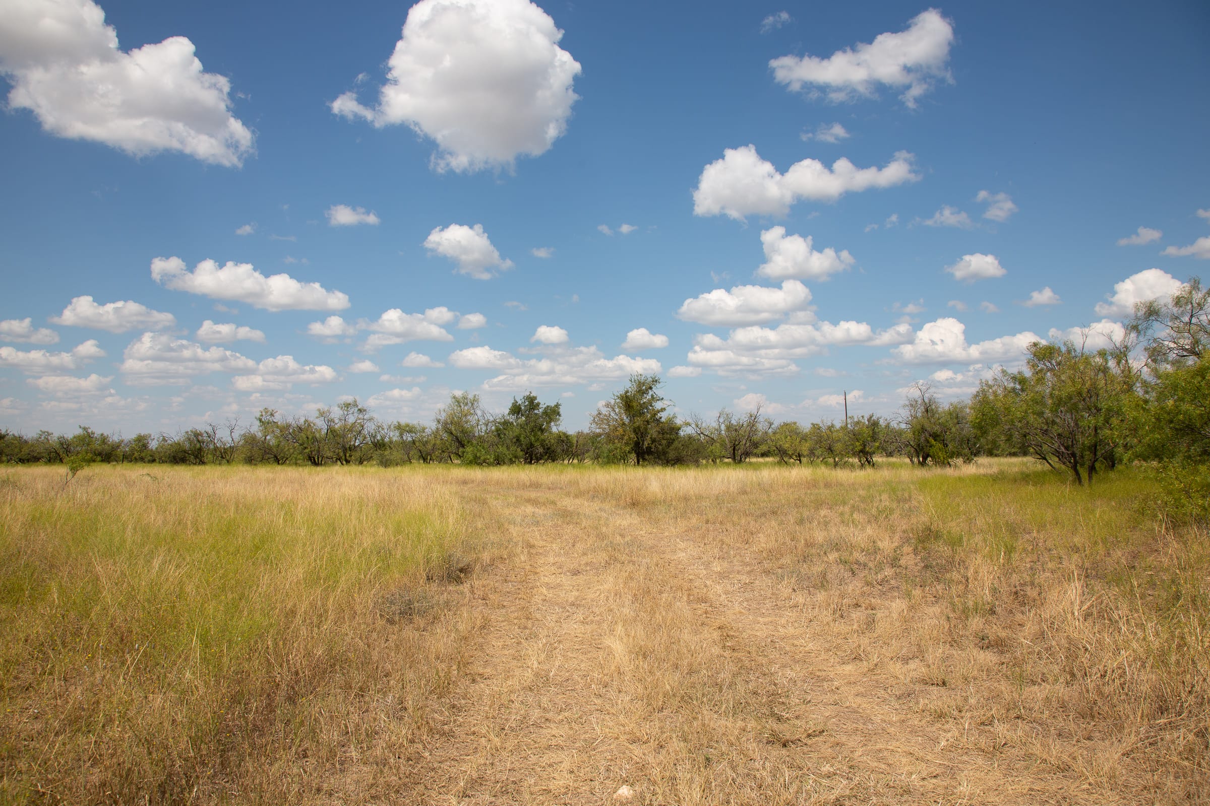 Hunter’s Ranch Tract 4 photo 16