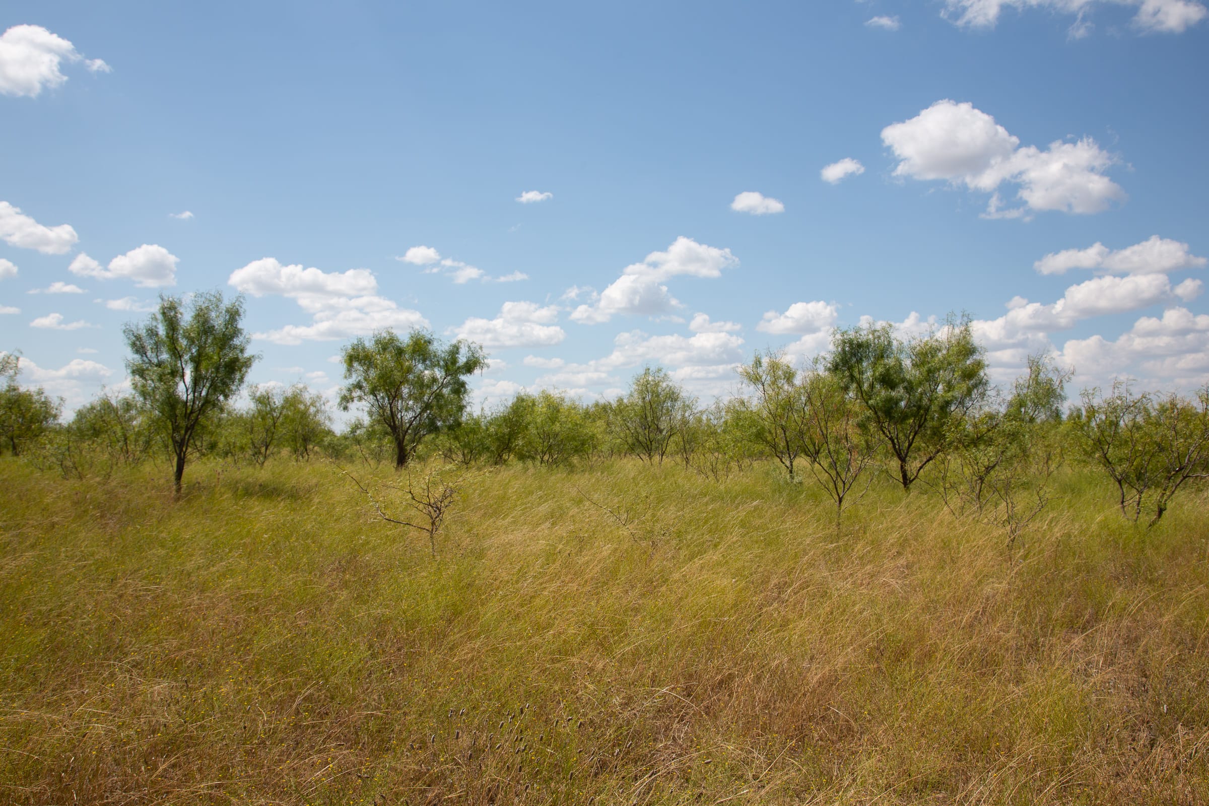 Hunter’s Ranch Tract 4 photo 17