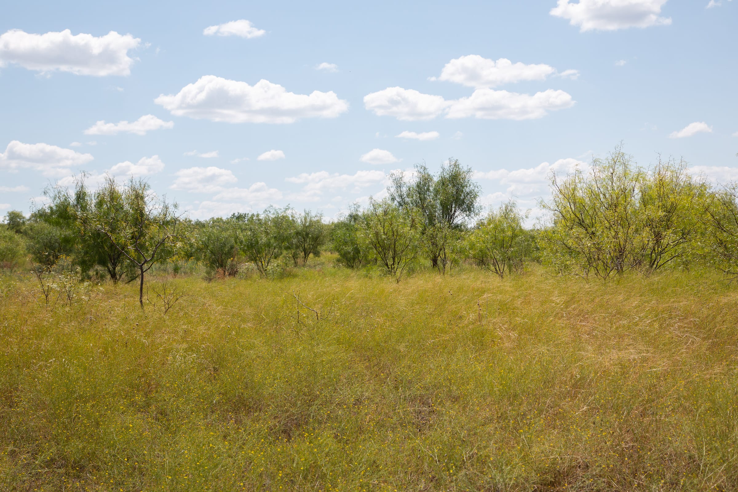 Hunter’s Ranch Tract 4 photo 18