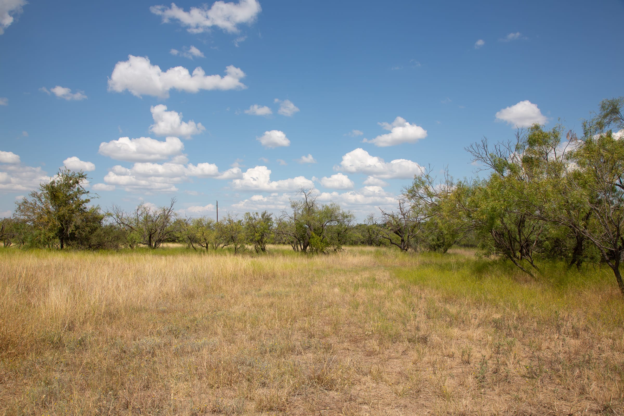 Hunter’s Ranch Tract 4 photo 19