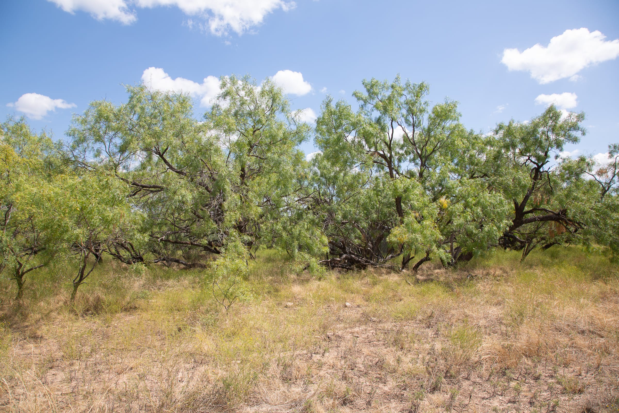 Hunter’s Ranch Tract 4 photo 20