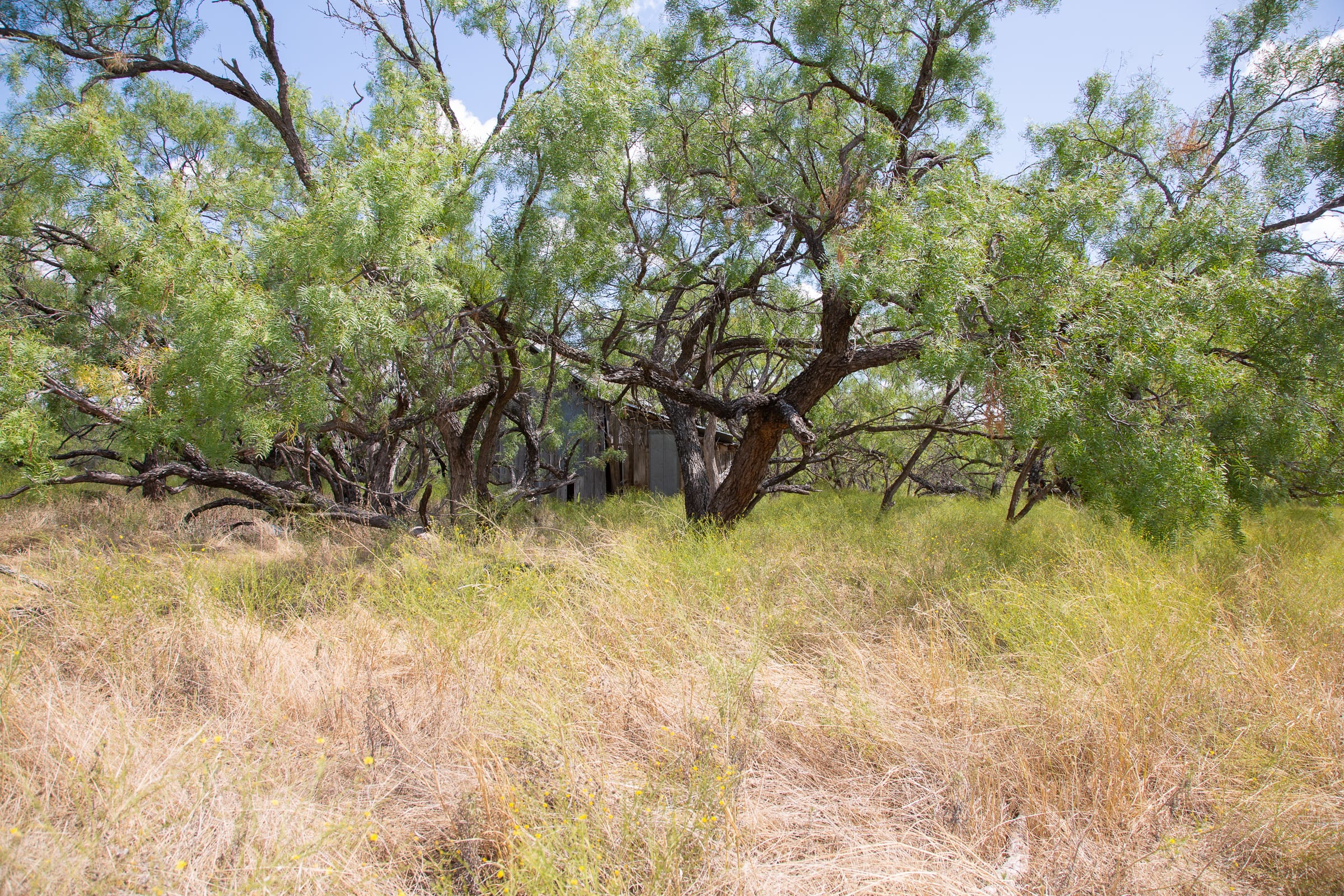 Hunter’s Ranch Tract 4 photo 21