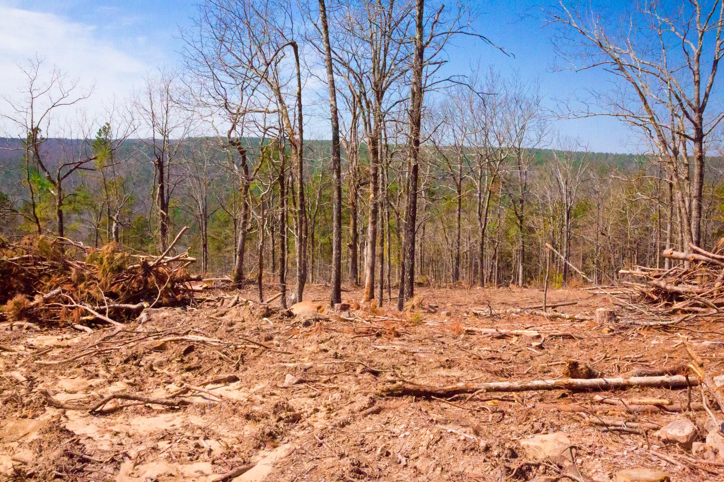 Stone Creek Phase II Tract 97 photo 2