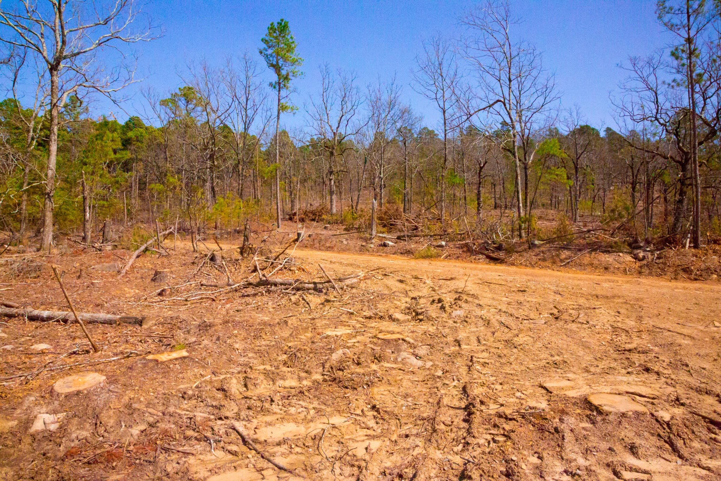 Stone Creek Phase II Tract 97 photo 3