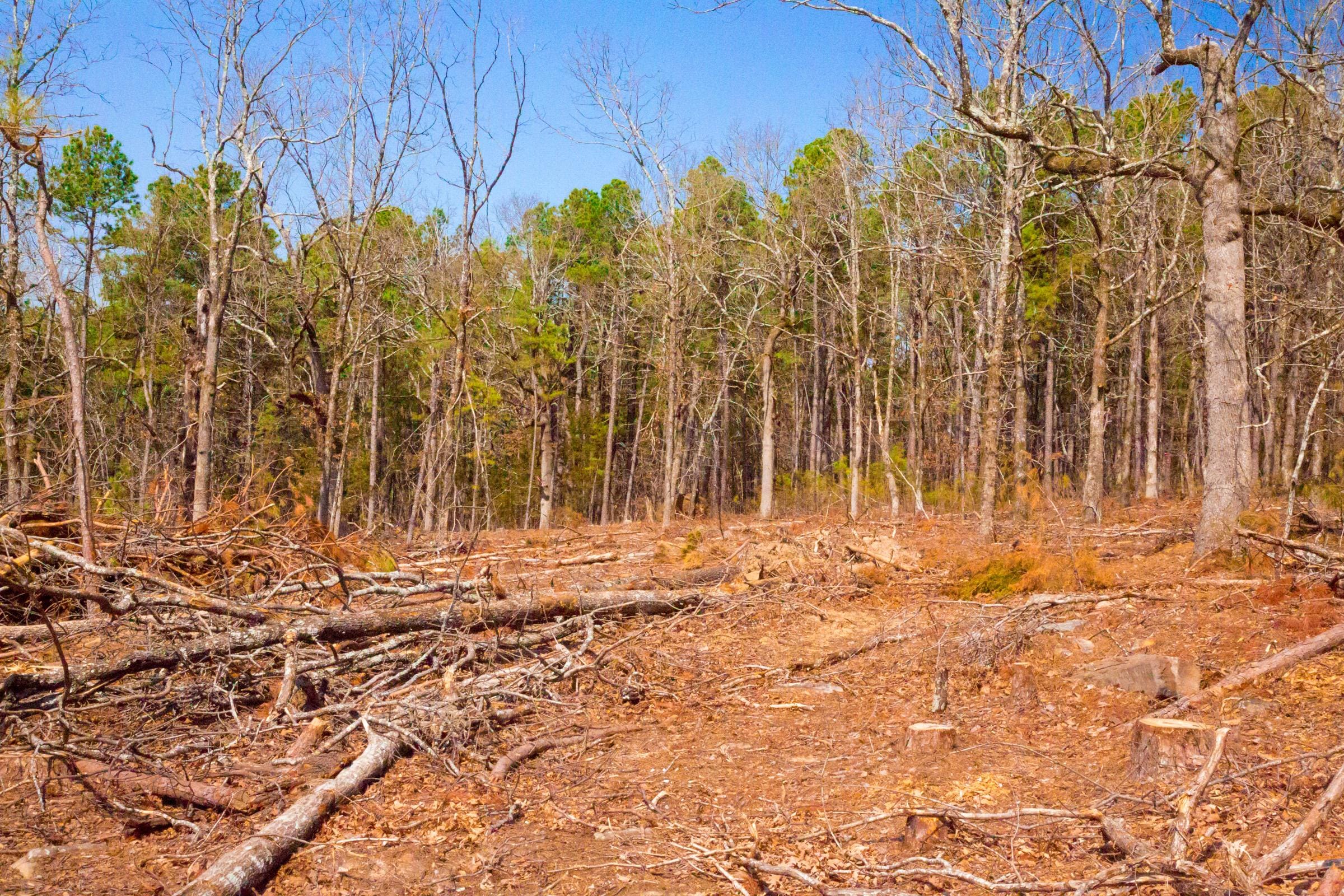 Stone Creek Phase II Tract 97 photo 4
