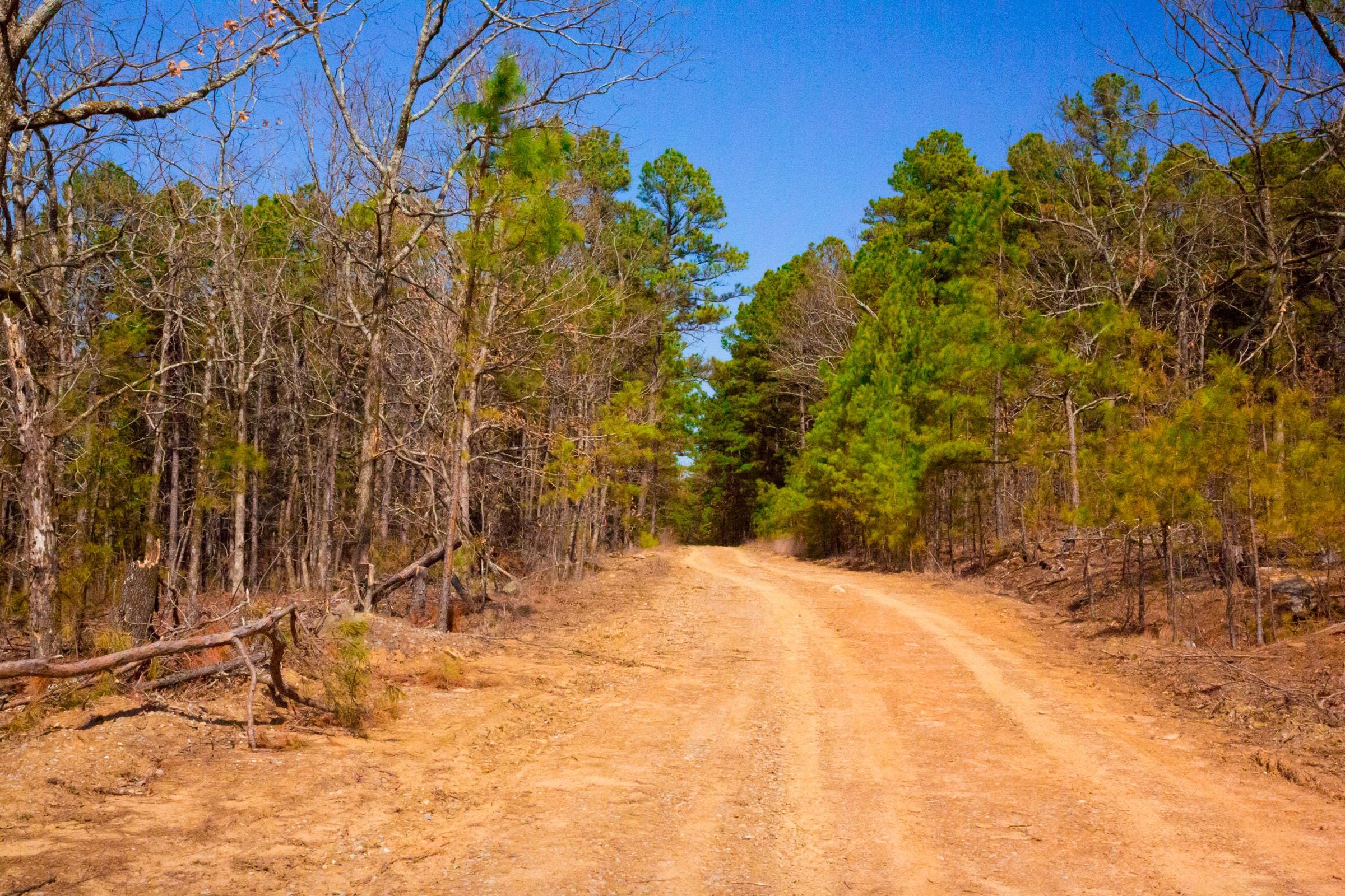 Stone Creek Phase II Tract 97 photo 5