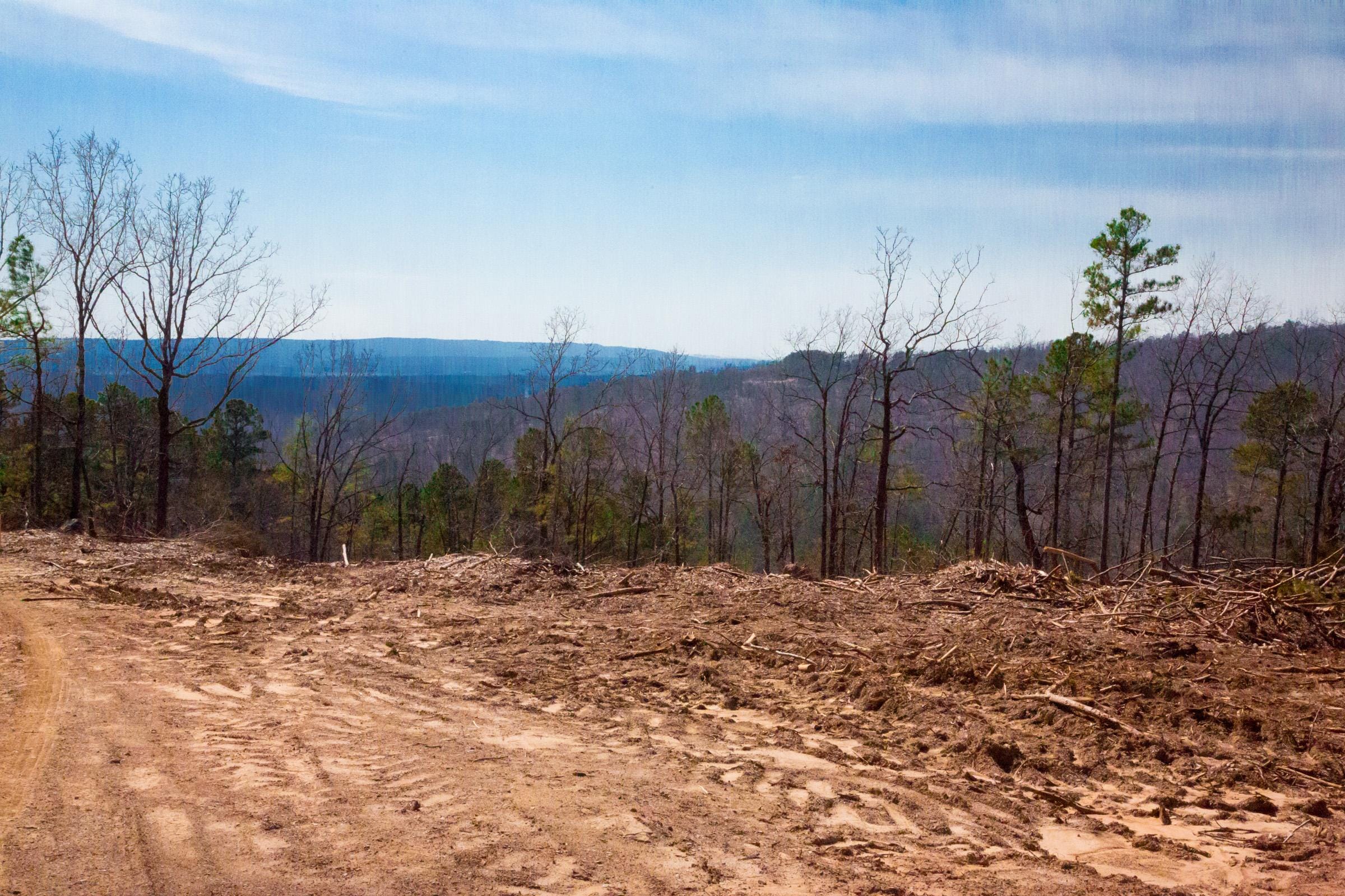 Stone Creek Phase II Tract 97 photo 6