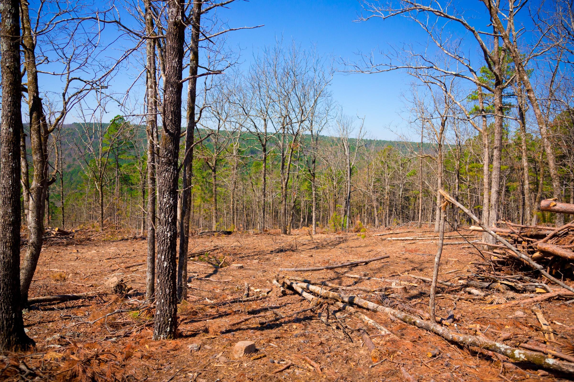 Stone Creek Phase II Tract 97 photo 8