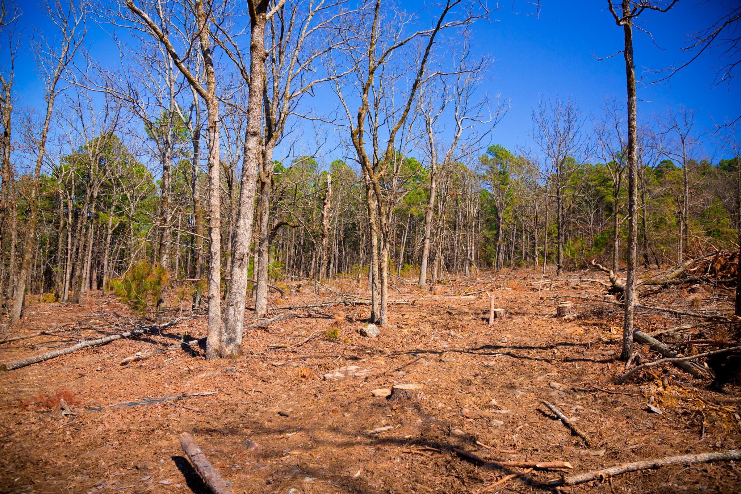 Stone Creek Phase II Tract 97 photo 11