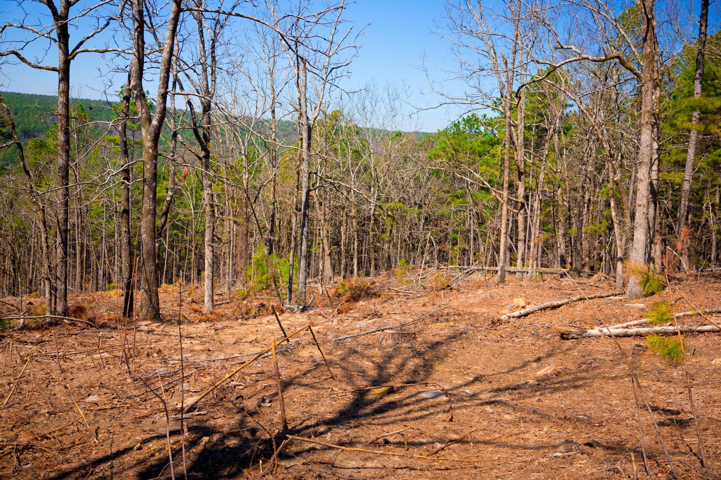 Stone Creek Phase II Tract 97 photo 12