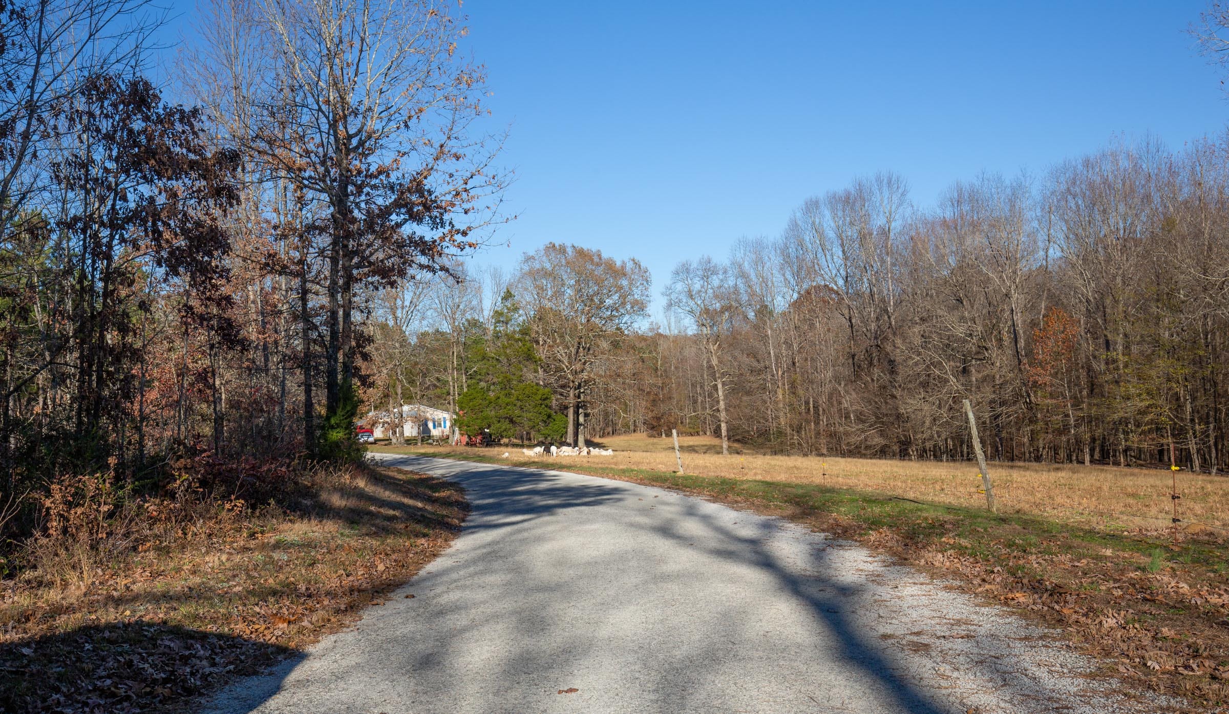 Whetstone Pines Tract 6 photo 2