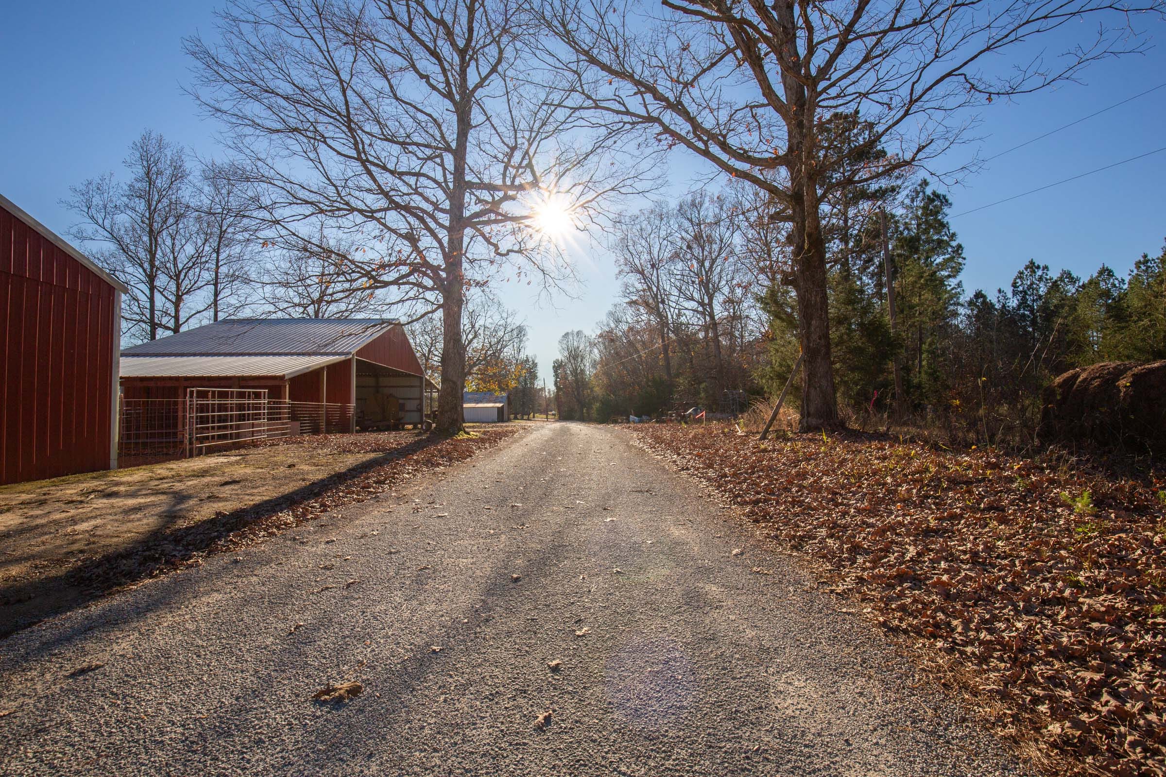 Whetstone Pines Tract 6 photo 3
